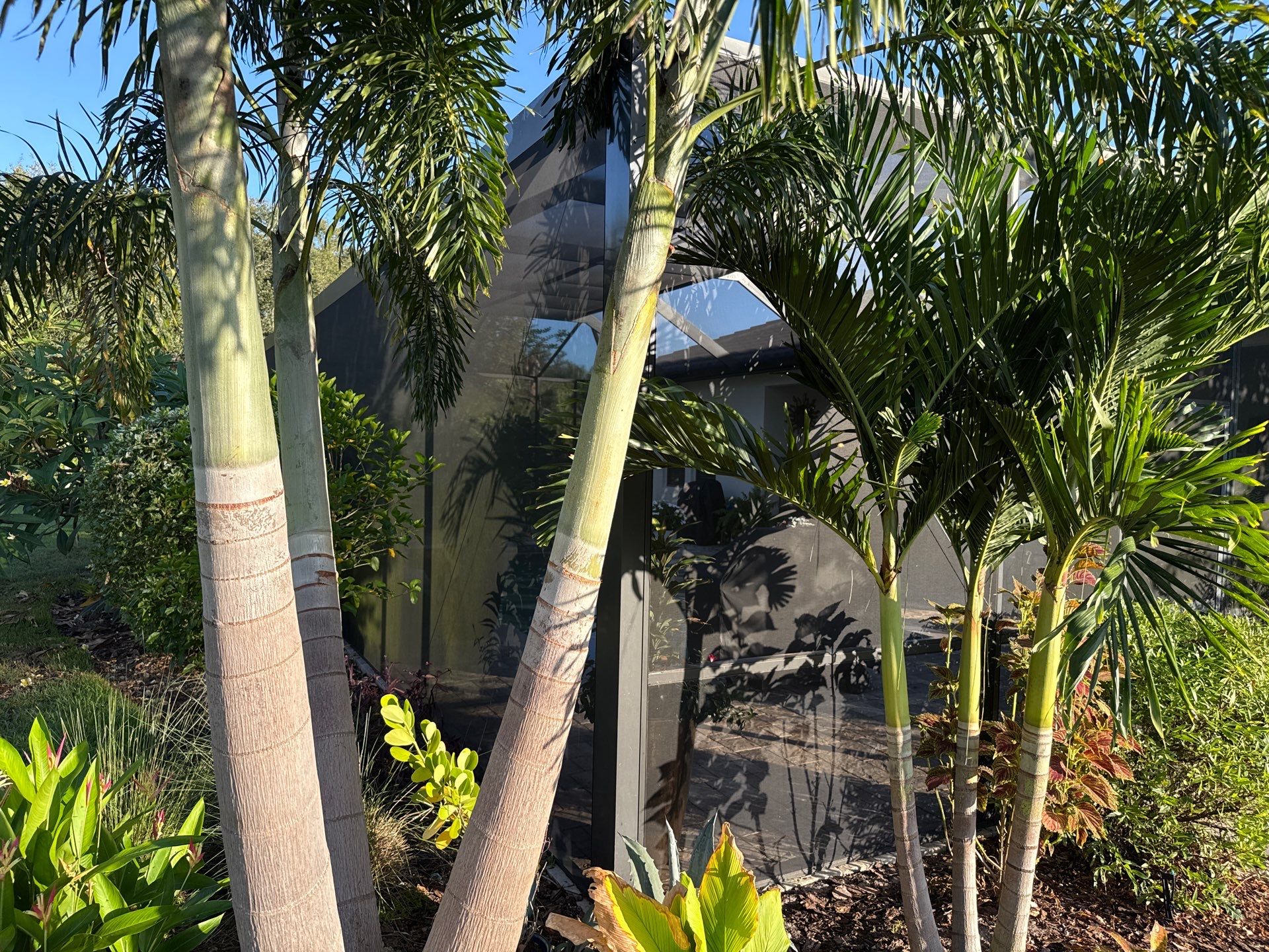 Pool Cage Cleaning | Rye Wilderness, Bradenton FL by Sunshine AquaWash
