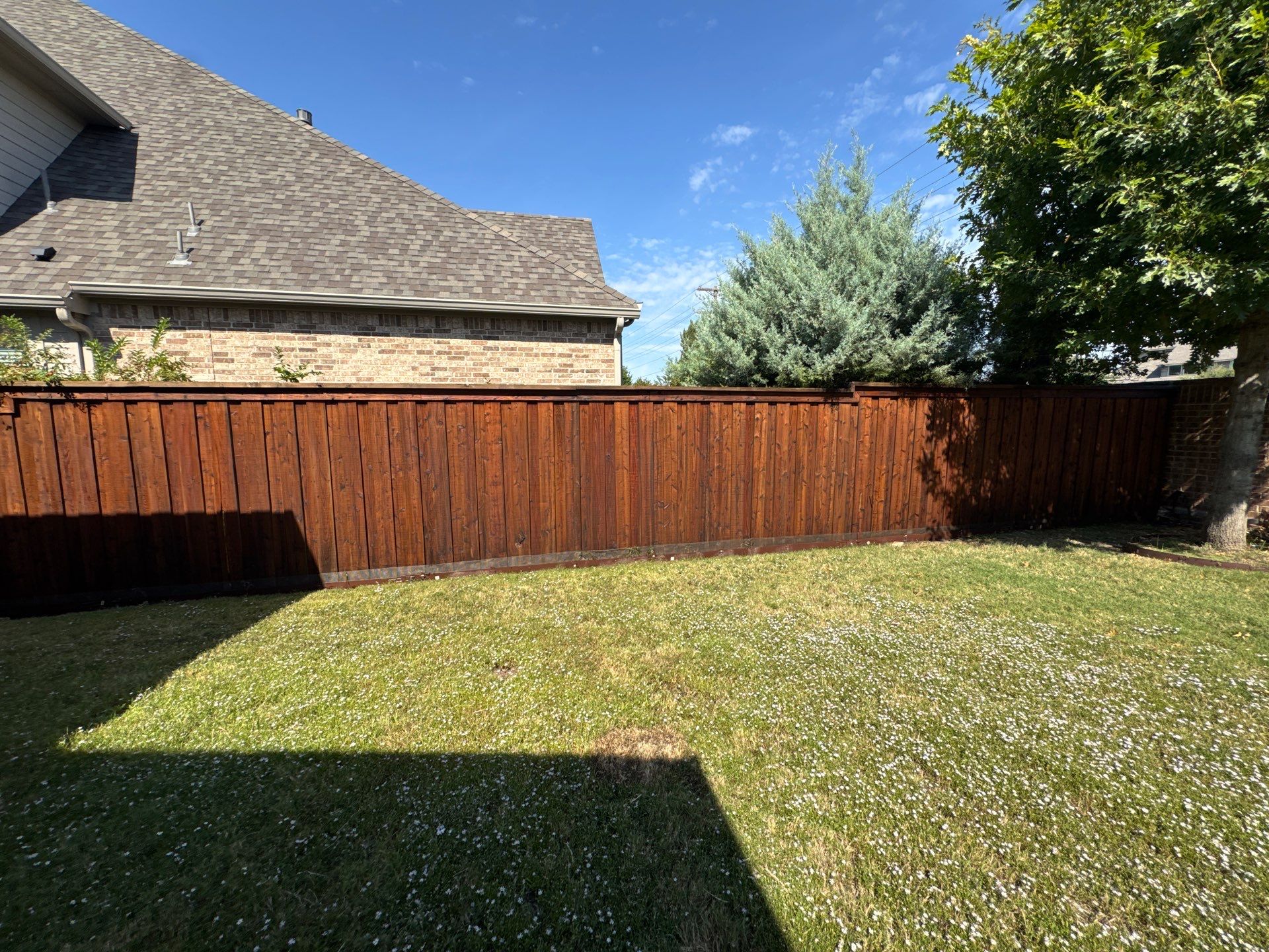 Fence Stain - Frisco by Lighthouse Contractors