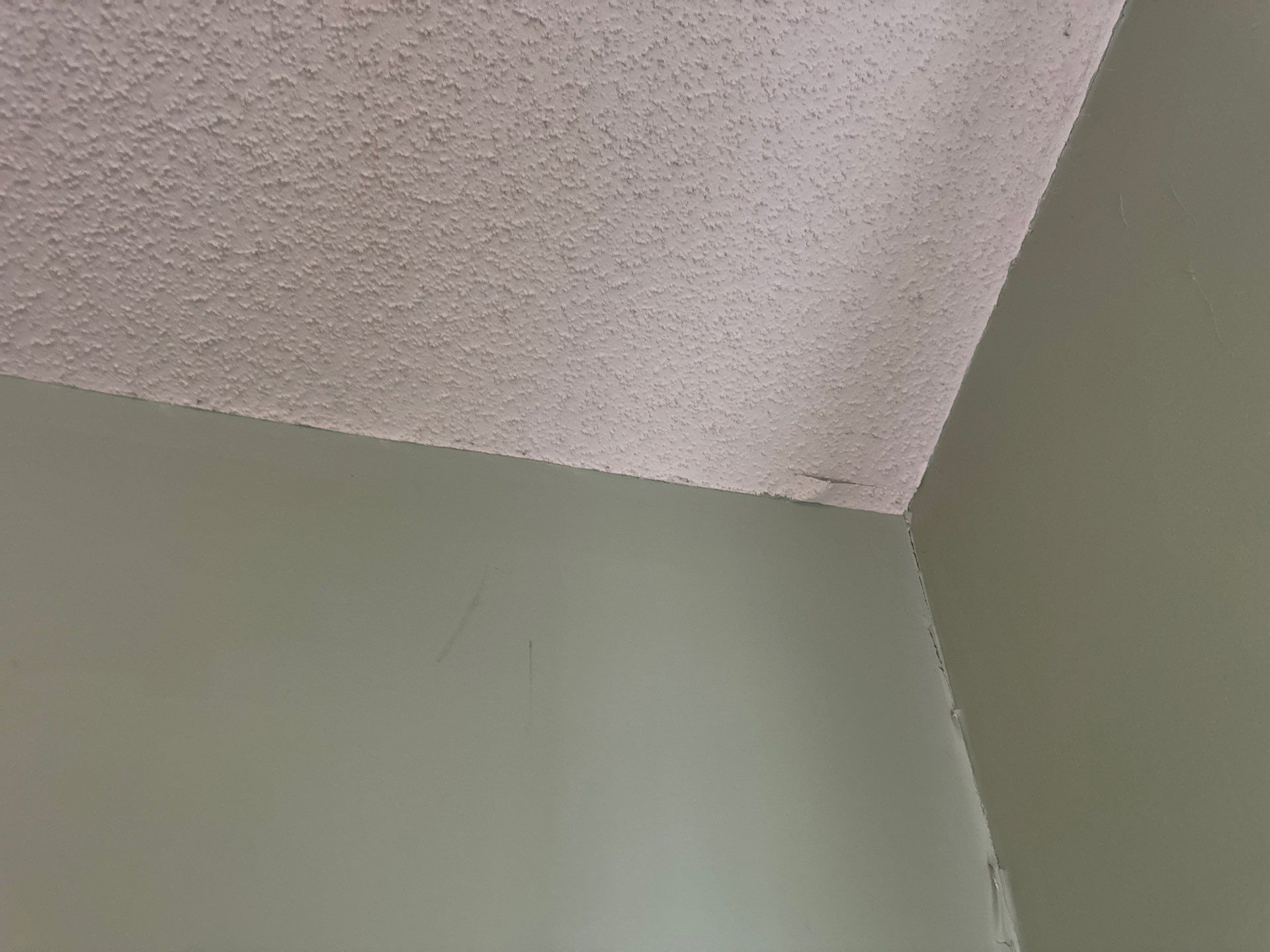 Interior Renovation and Multi-Level Deck Staining in Norton Shores by Gordon Painting