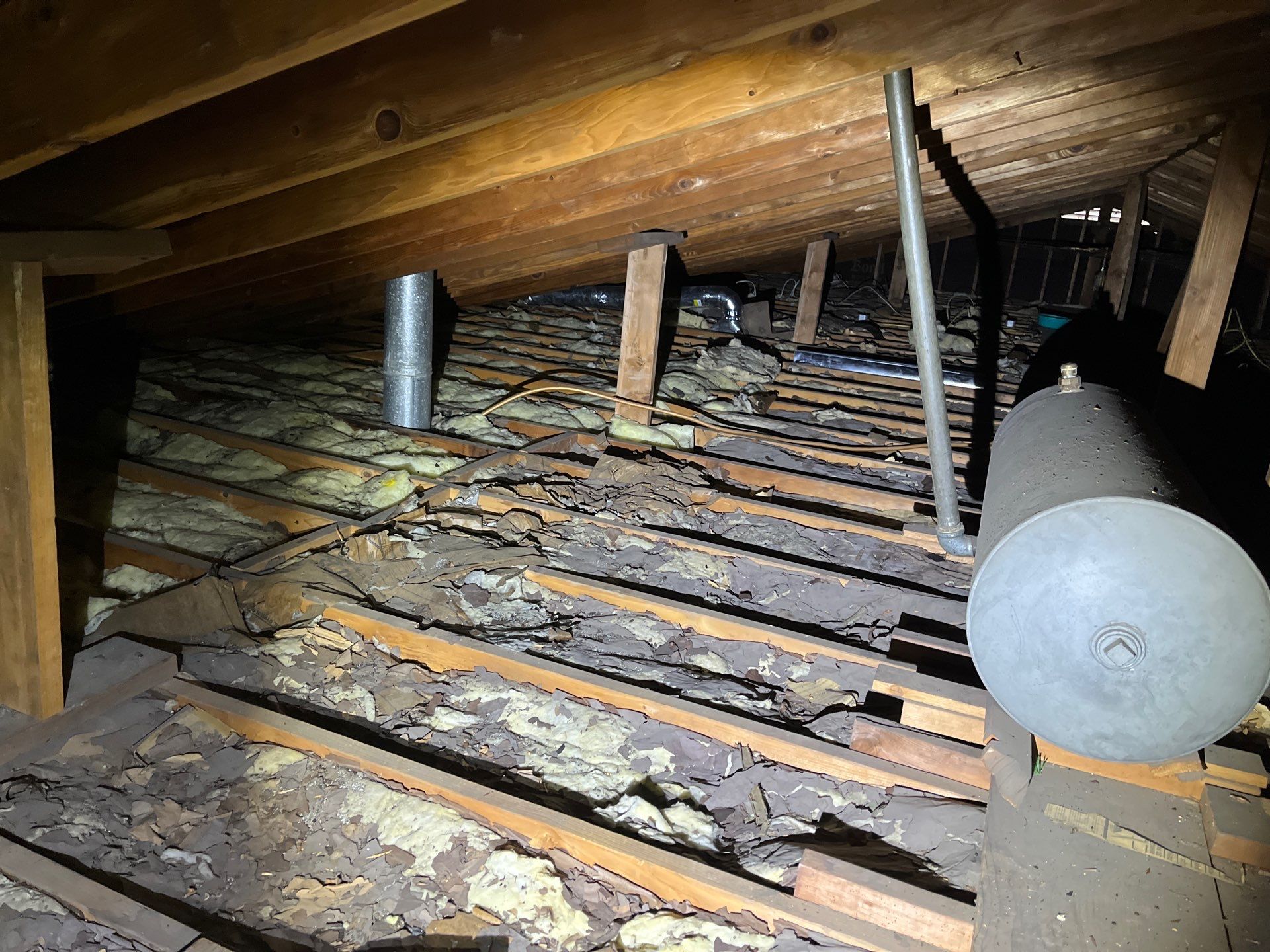 Blown-In Attic Insulation and Rodent Remediation in Canonsburg by Home Environment Solutions