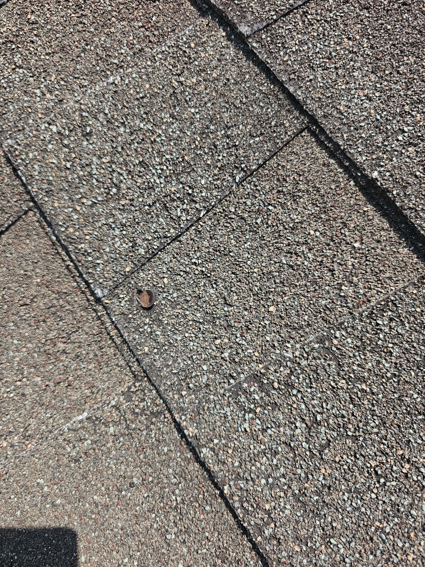 Hail Damage using Owen's Corning Duration (Lifetime) Shingles by Roof Repair Company