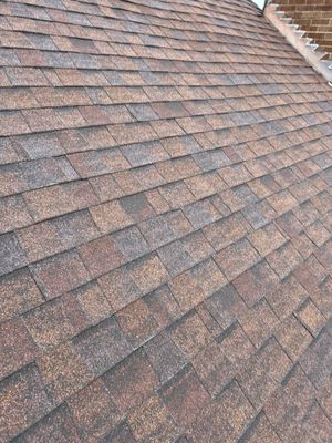 Turtle Shell gutter protection installation in Naperville, IL 60563, photograph 12