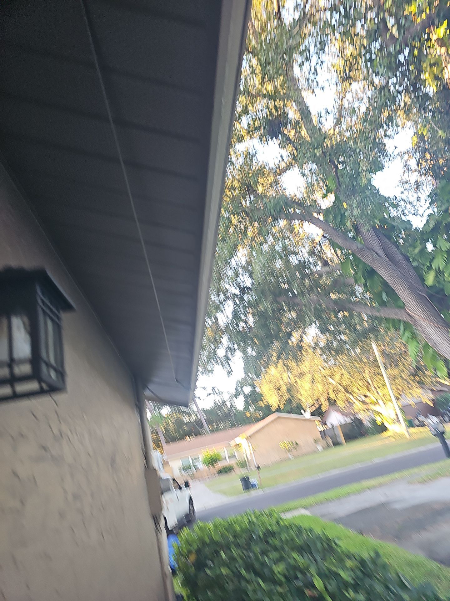 Project in Pinellas Park 33781 by Mitchell Roofing Company LLC
