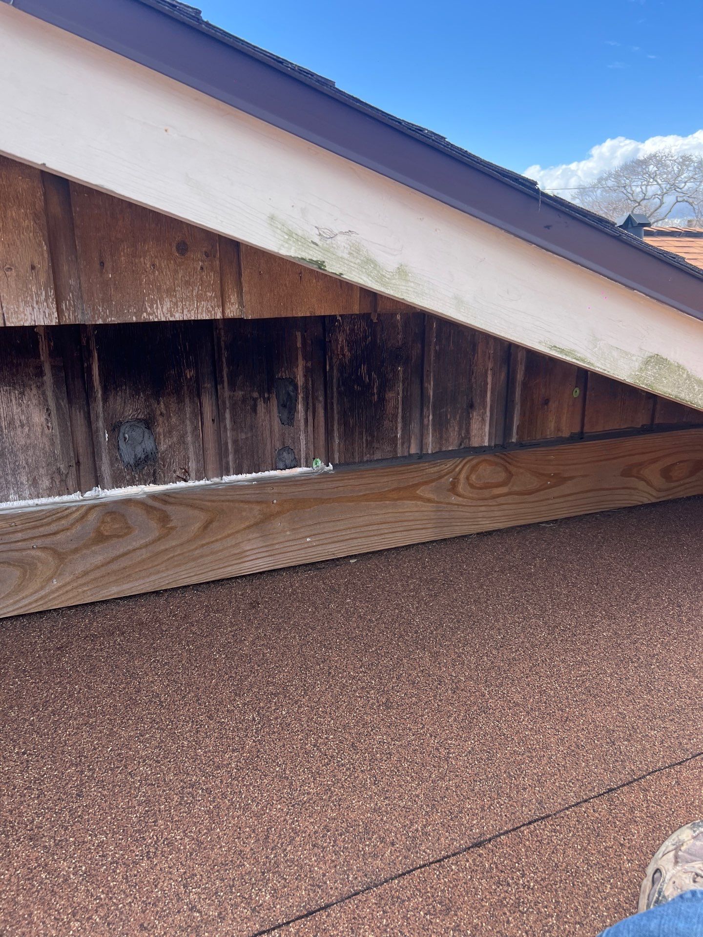 Vaulted Patio Cover by Bayfront Roofing and Construction