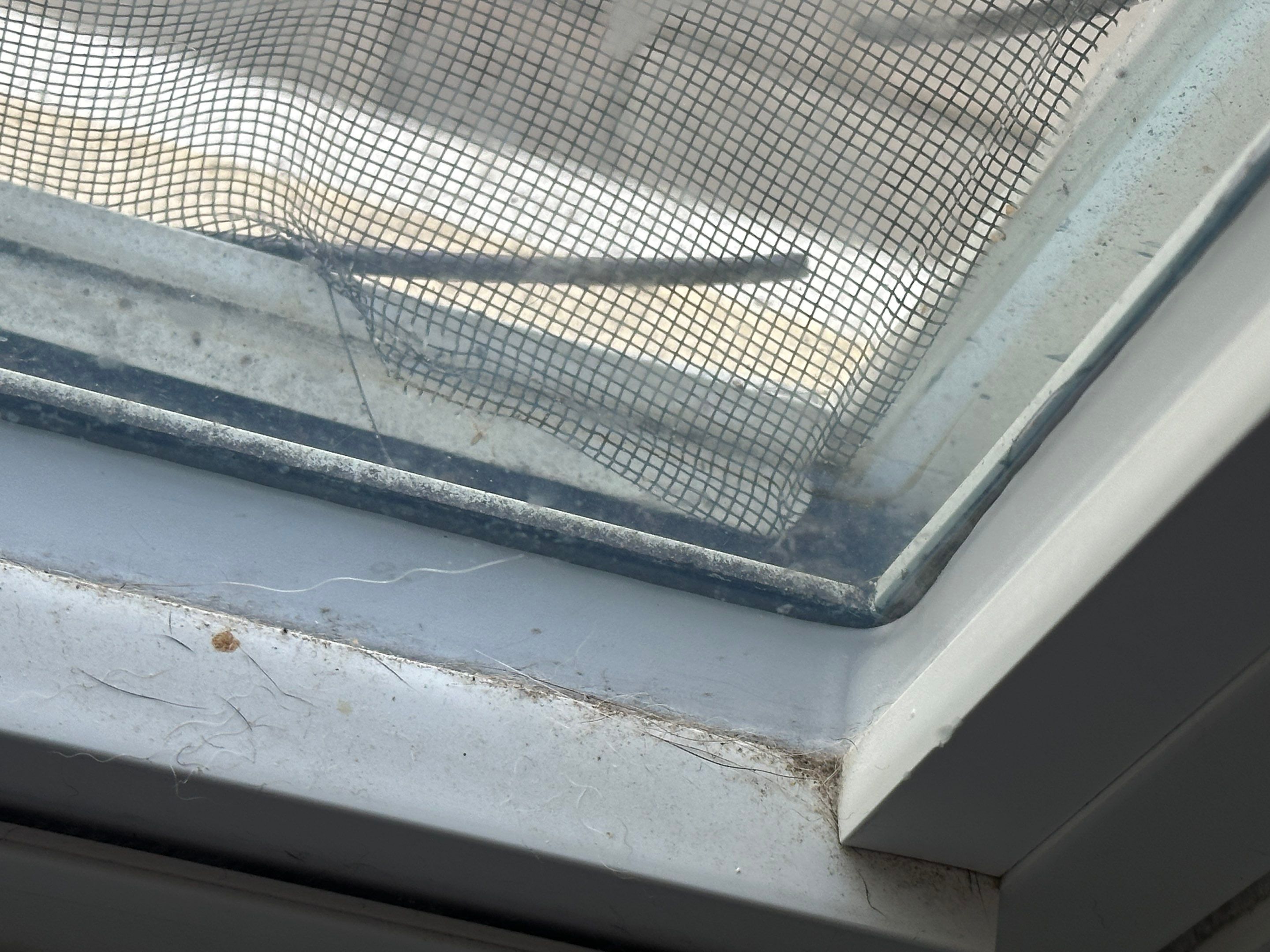Water Damage Claim in Riverview by FLAPA & KeyStone
