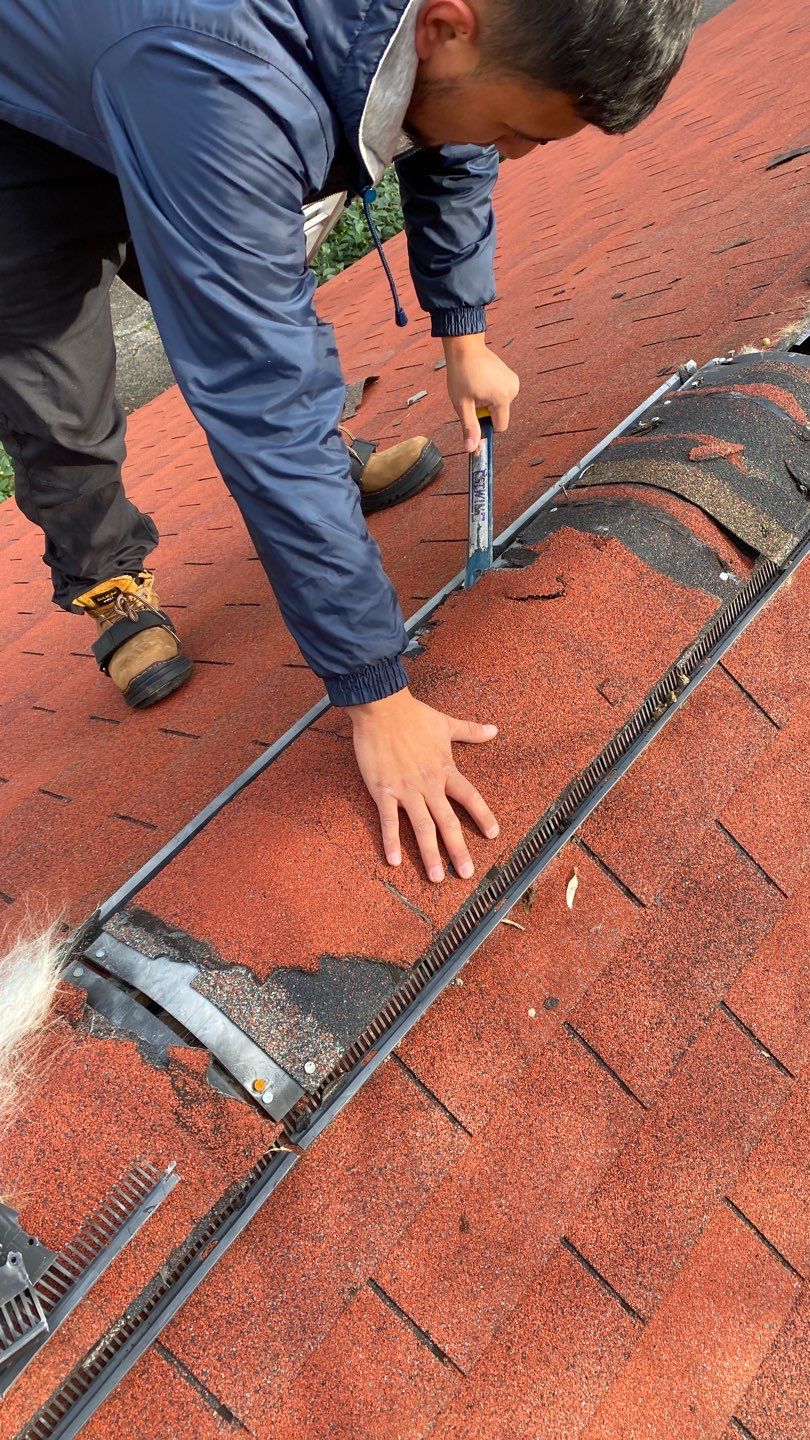 Alexandra: Residential Metal Roofing  by RM Banning, Inc.