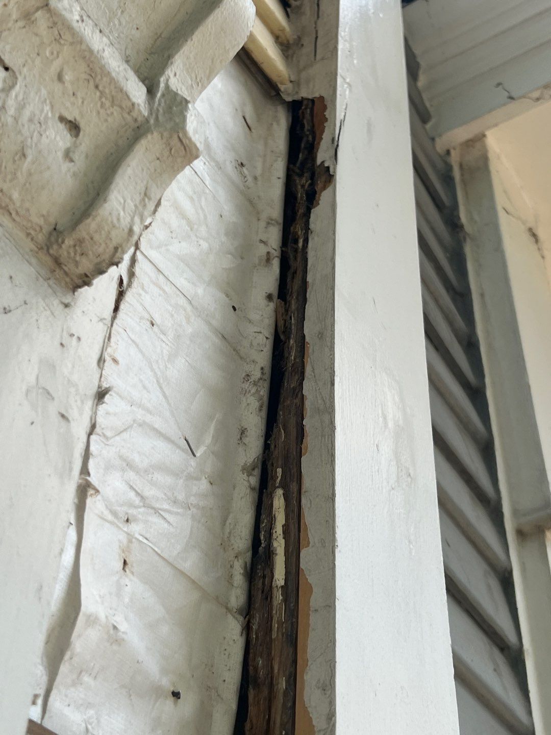 Alexandria: Siding Replacement with Solid Pine Wood Lap Siding by RM Banning, Inc.