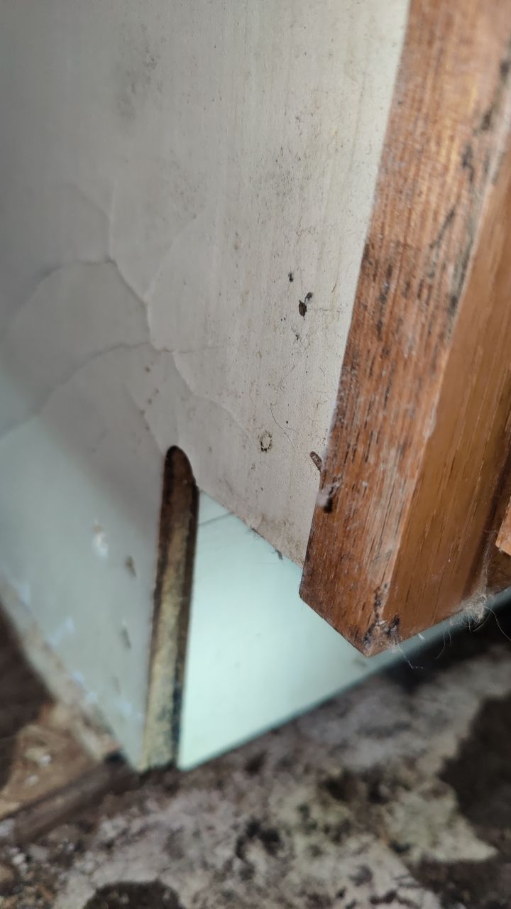 Mold Damage by Accountable Home Services