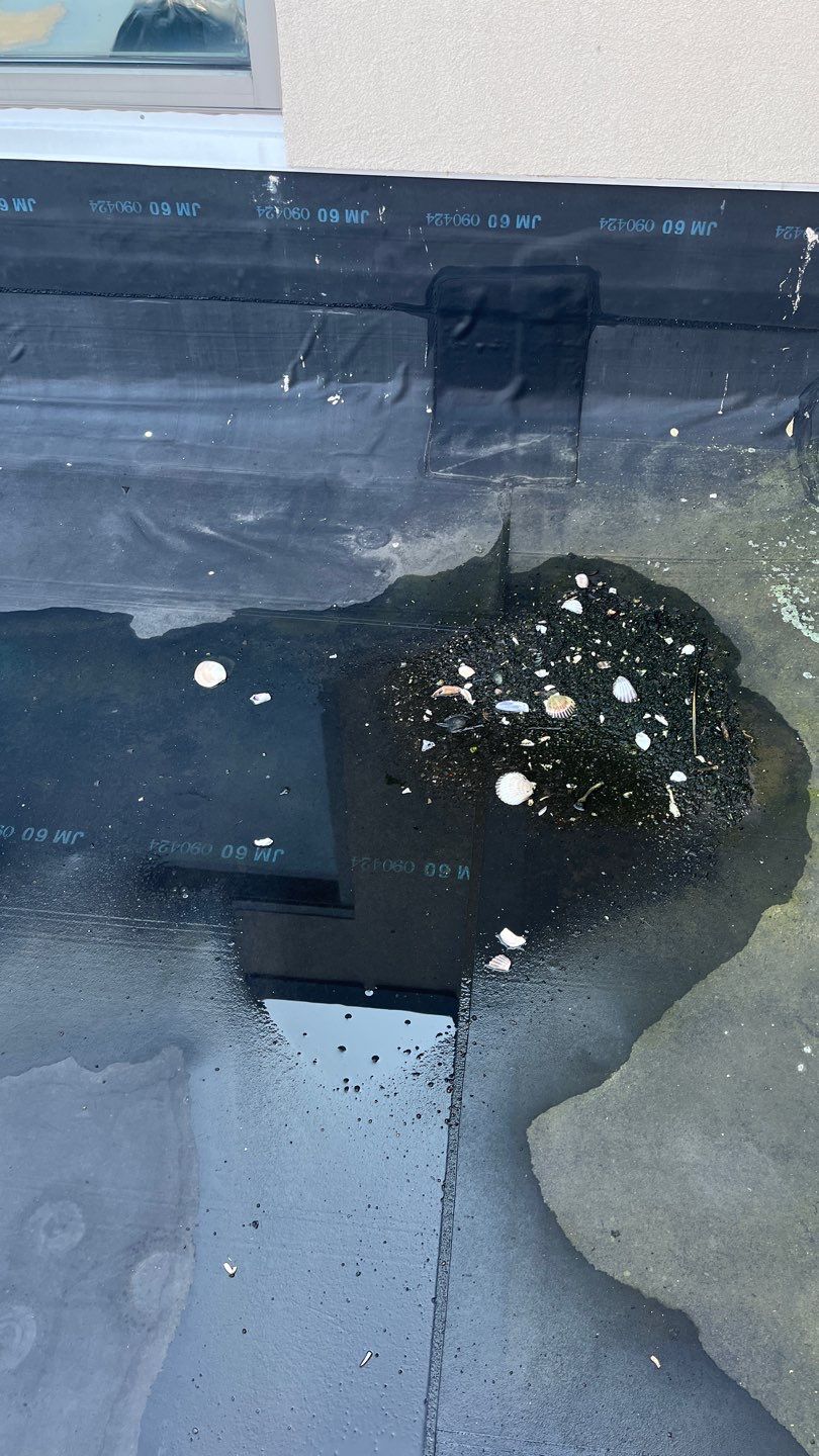 Zachry Nuclear Engineering, Inc. by Chaffee Roofing