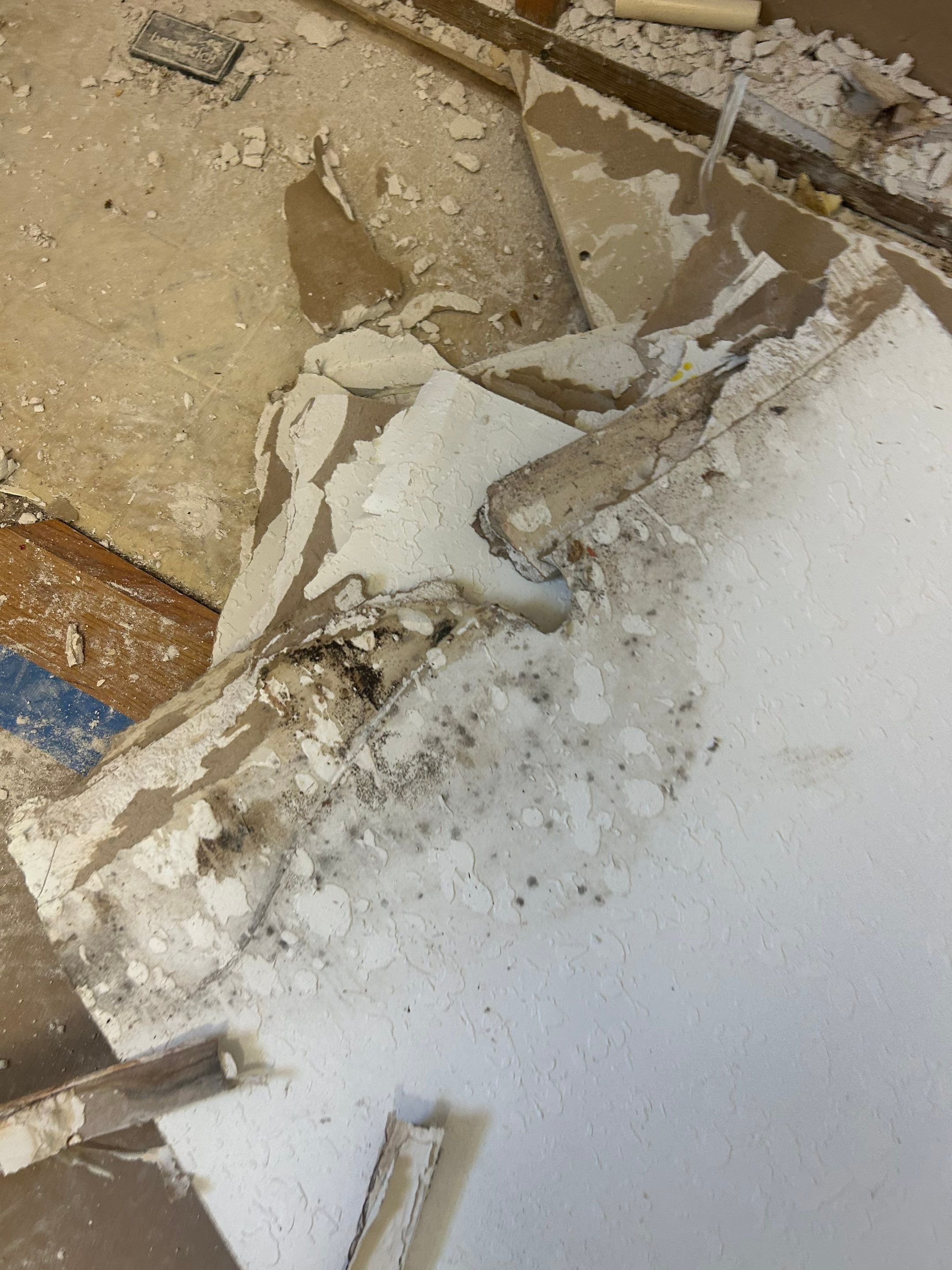 Project in Mascotte by You Restorations LLC DBA YOU-Home