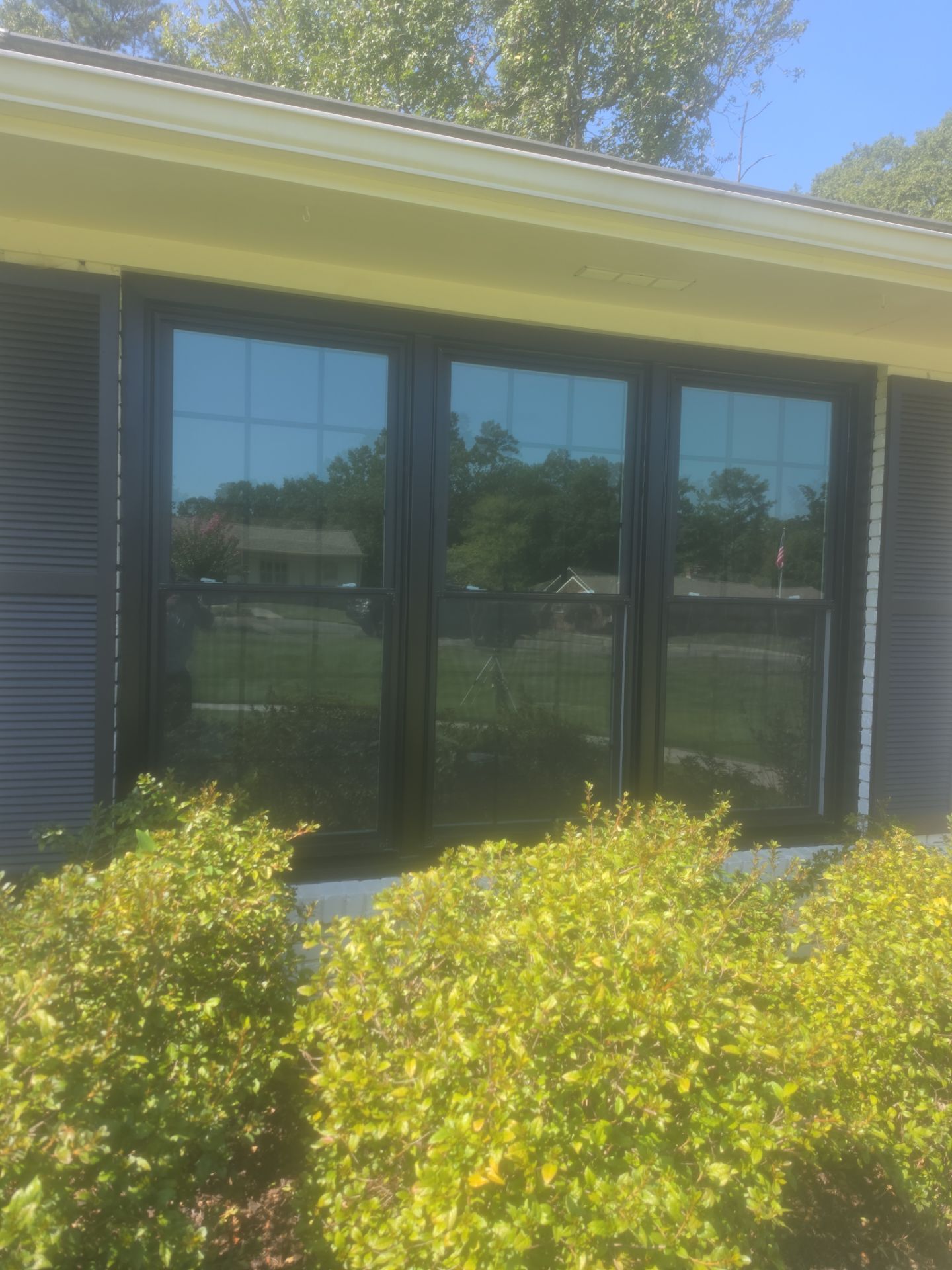 Taylor Project in Hoover by The Window Source