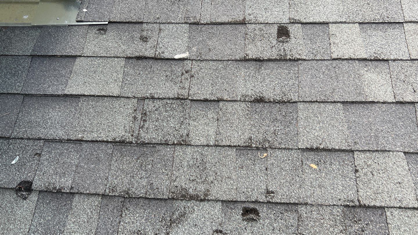 Architectural Shingle Roof Replacement and Exterior Restoration in Round Rock by Caliber Restoration LLC