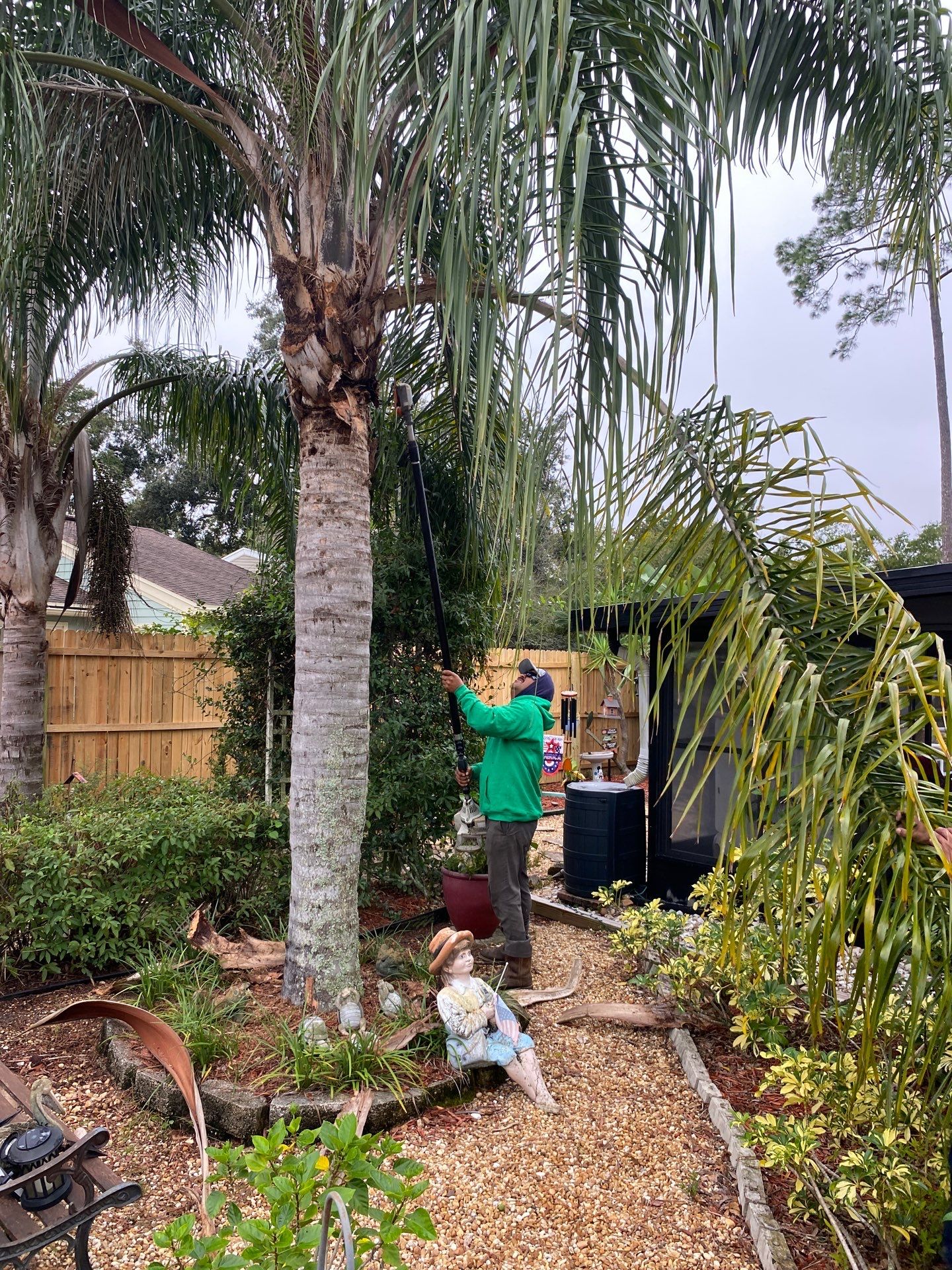 Tree Trimming | Residential by ProGreen Services
