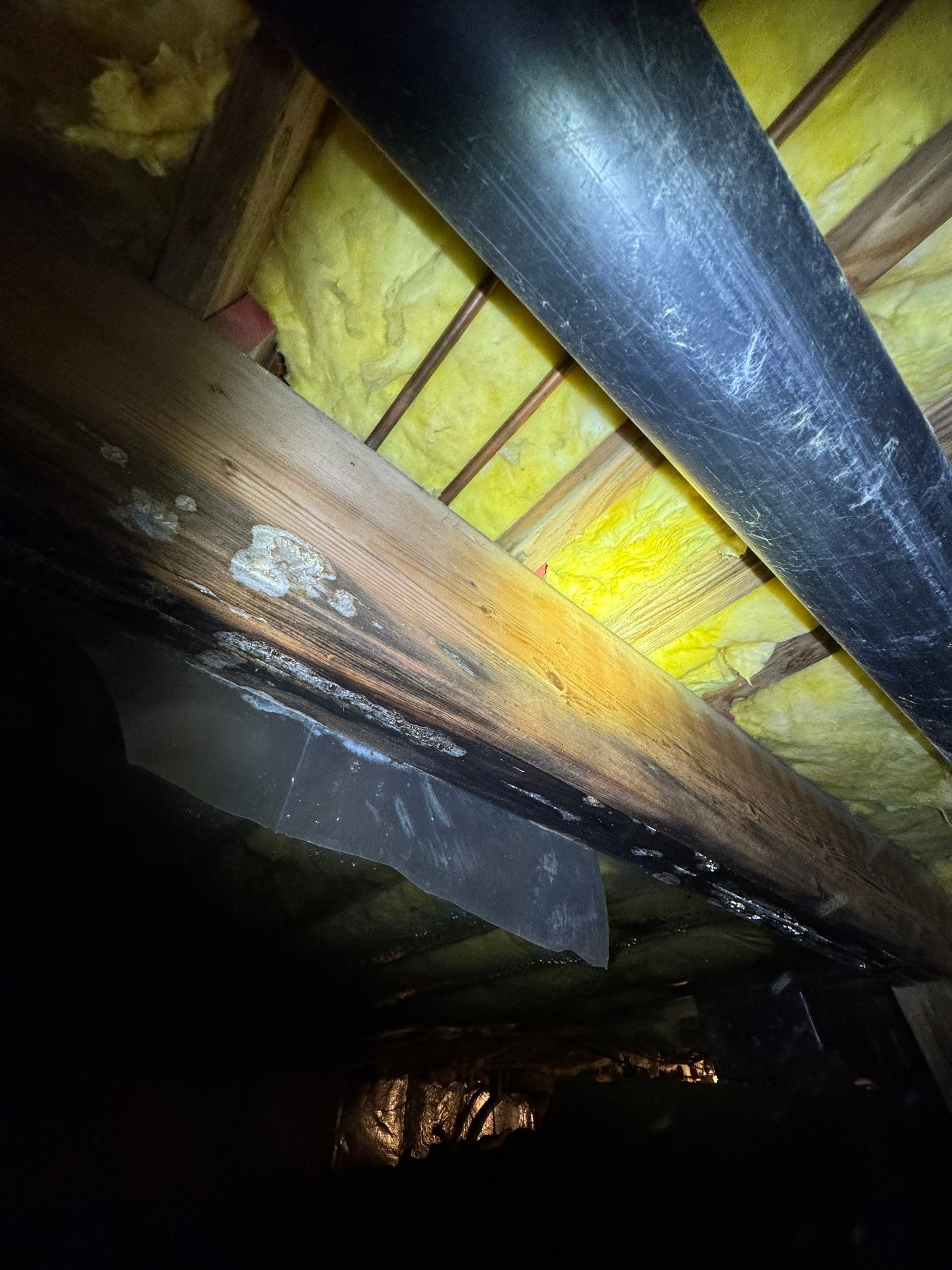 Mold Remediation (Basement) using Home Guarantee by Home Guarantee, LLC