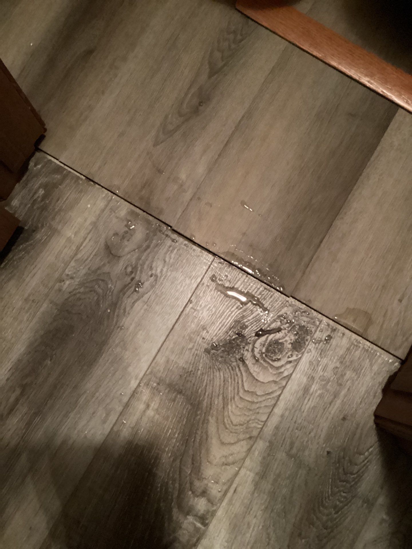 Project in Piedmont by PRO-ROOTER