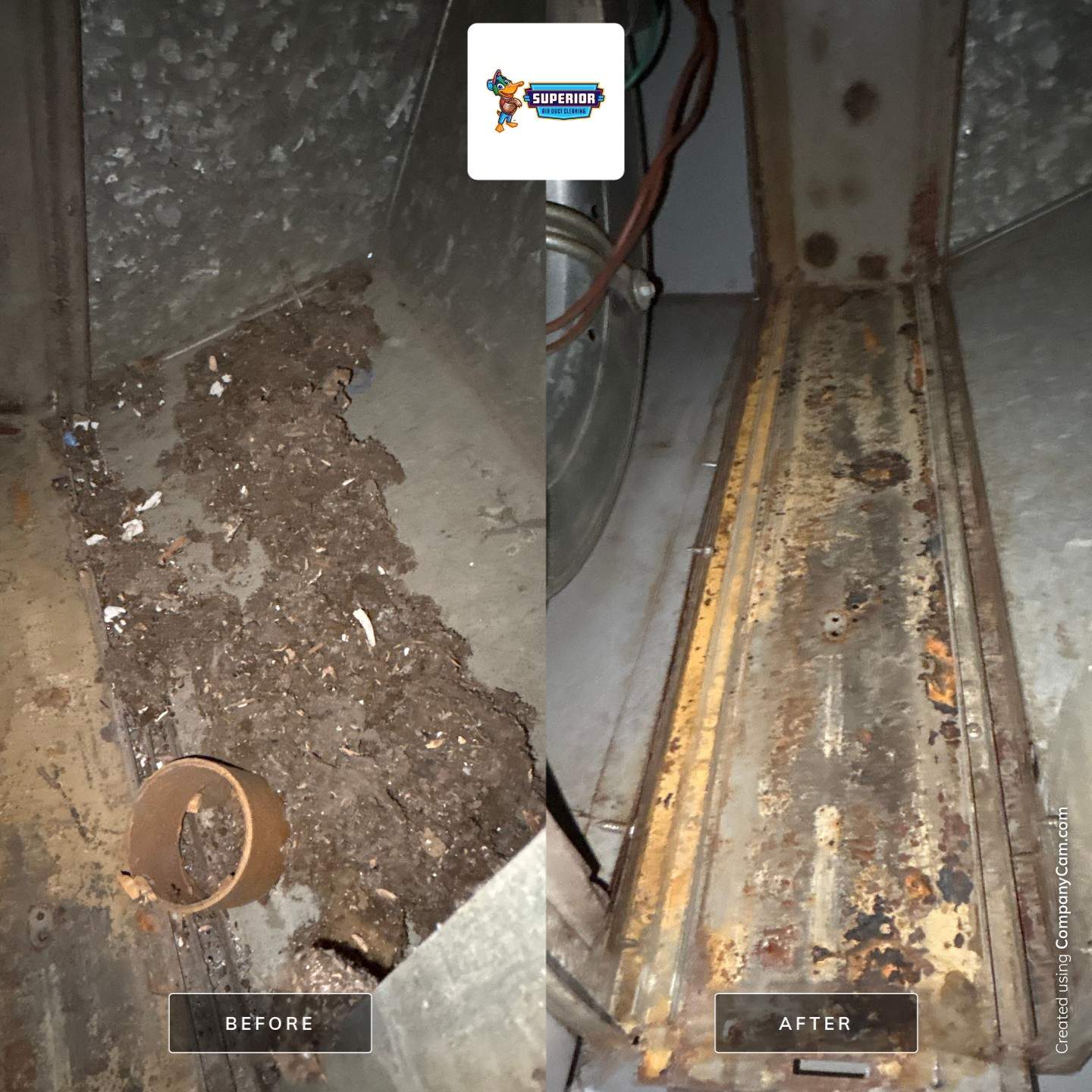 Air Duct Cleaning in Warren, OH by Superior Air Duct Cleaning