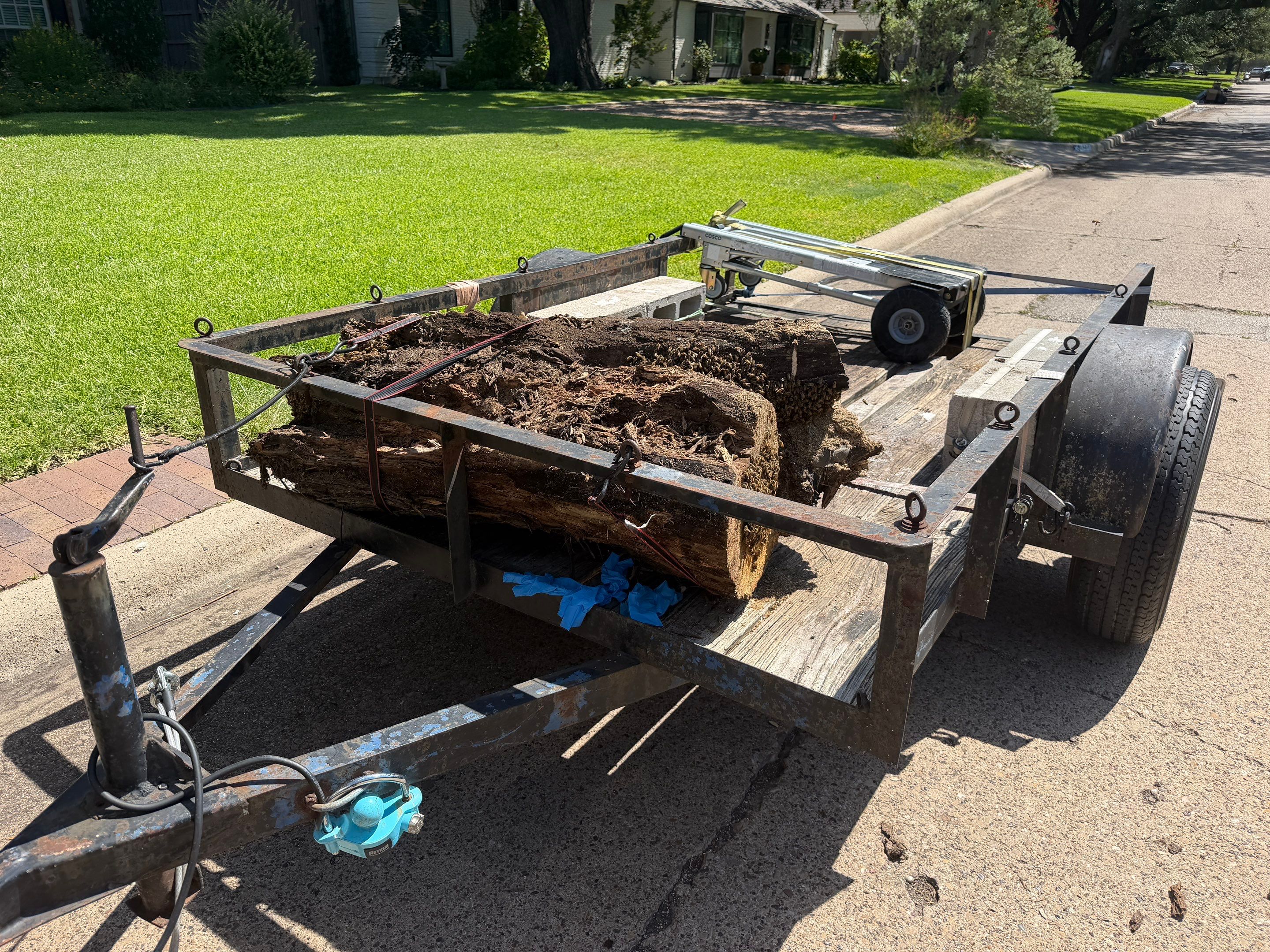 Warranted Removal by Rockwall Honey Bee Company