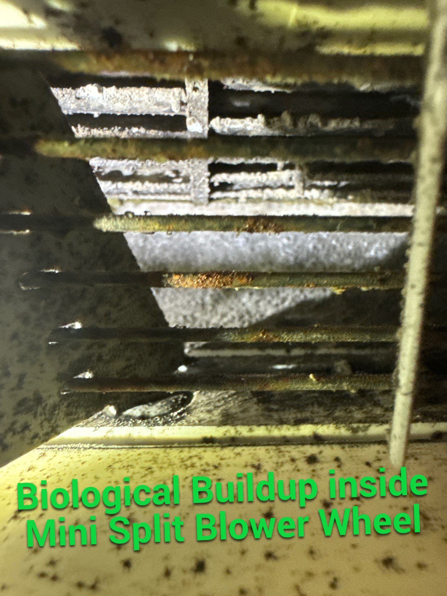 New Paltz, NY — Mini-Split Deep Clean & Biological Growth Removal by Shelter Air