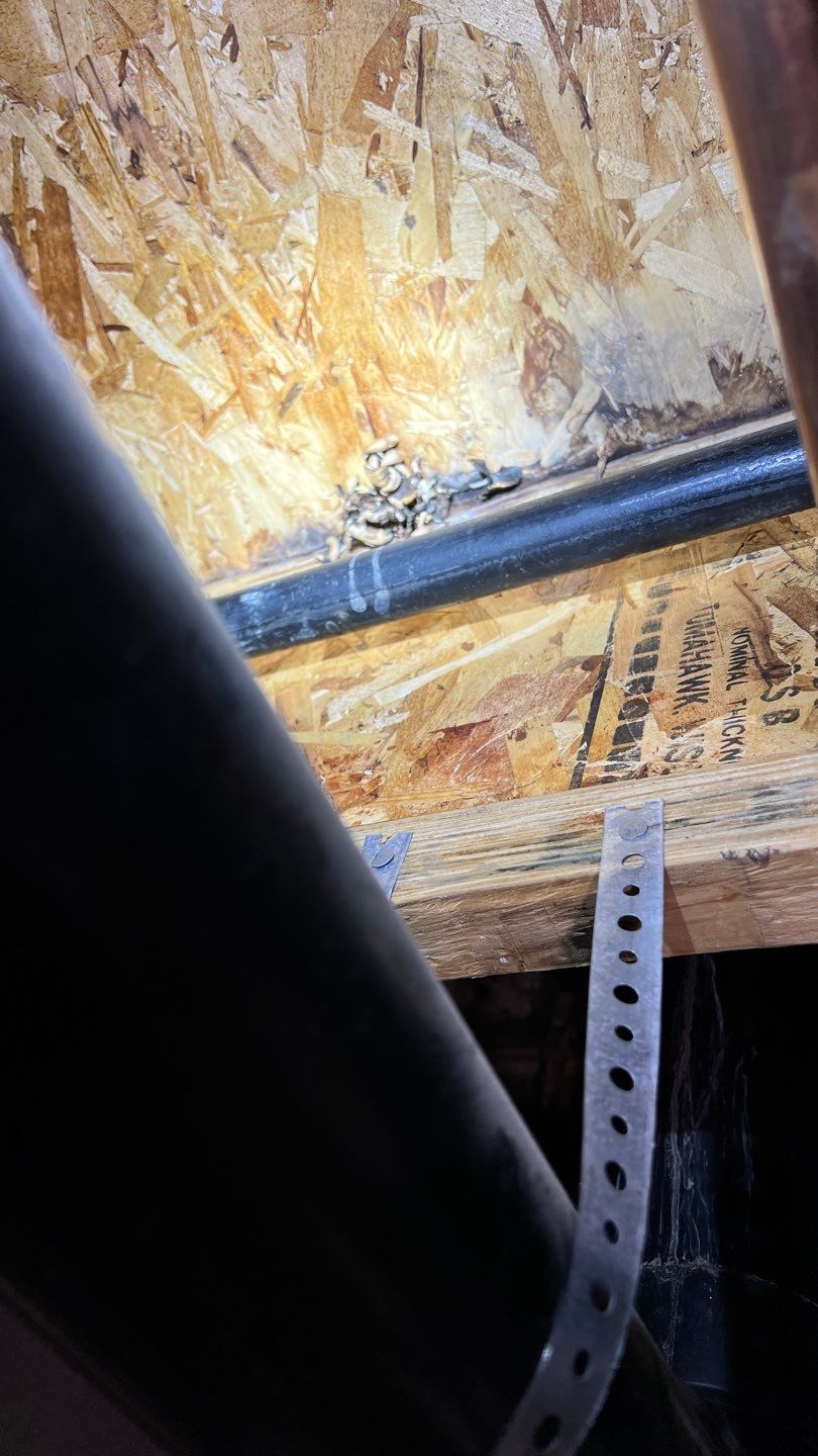 Mold Remediation by Accountable Home Services