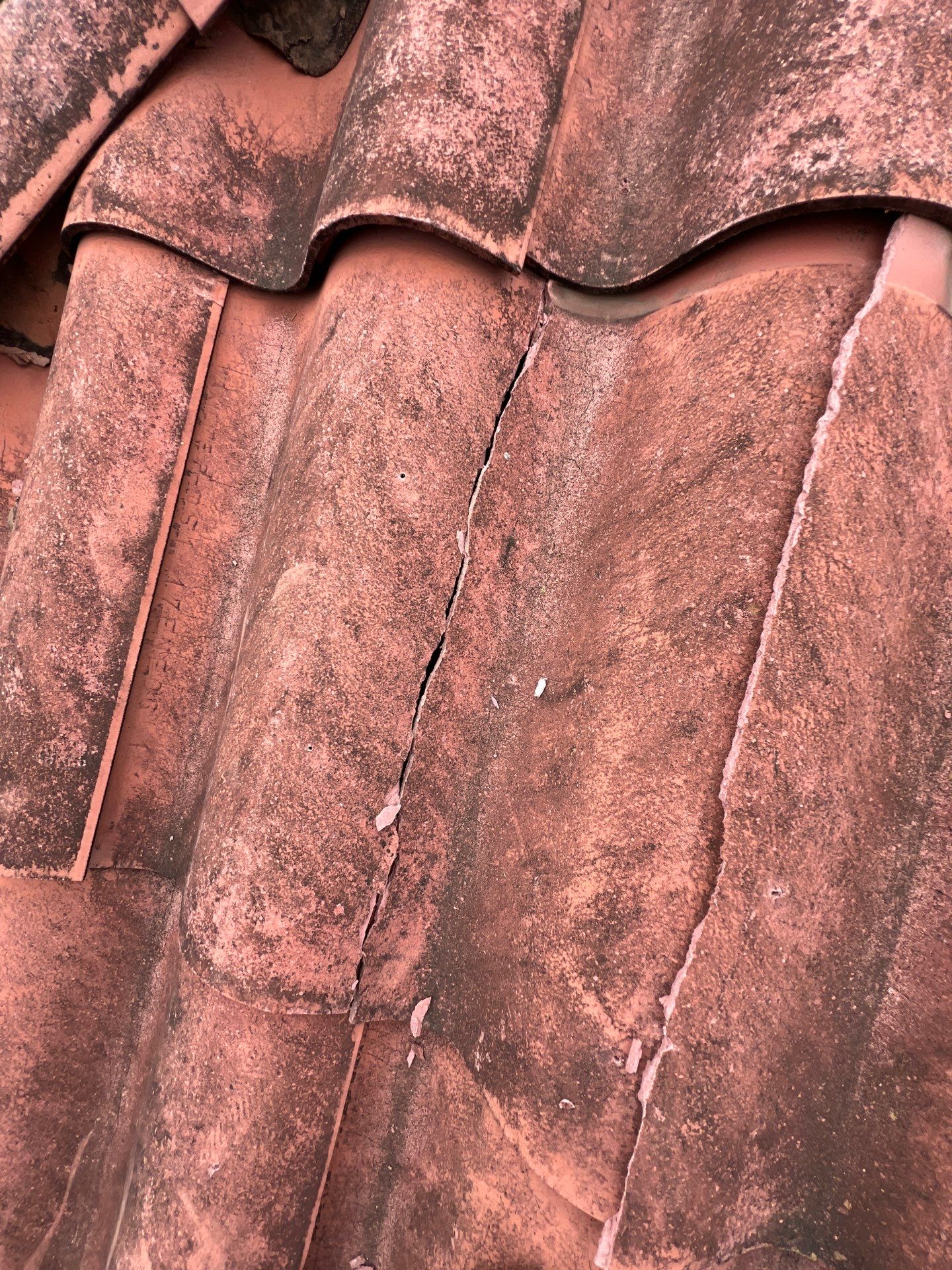 Tile Roof using tile by Roof Repair Company