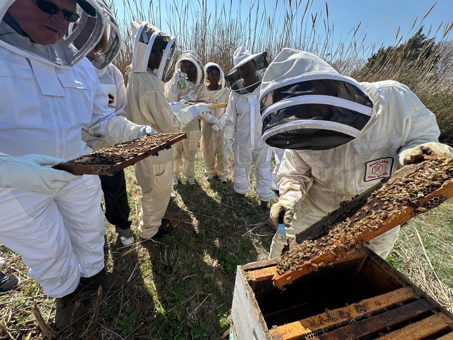 Teaching at an Apiary in Rowlett by Rockwall Honey Bee Company