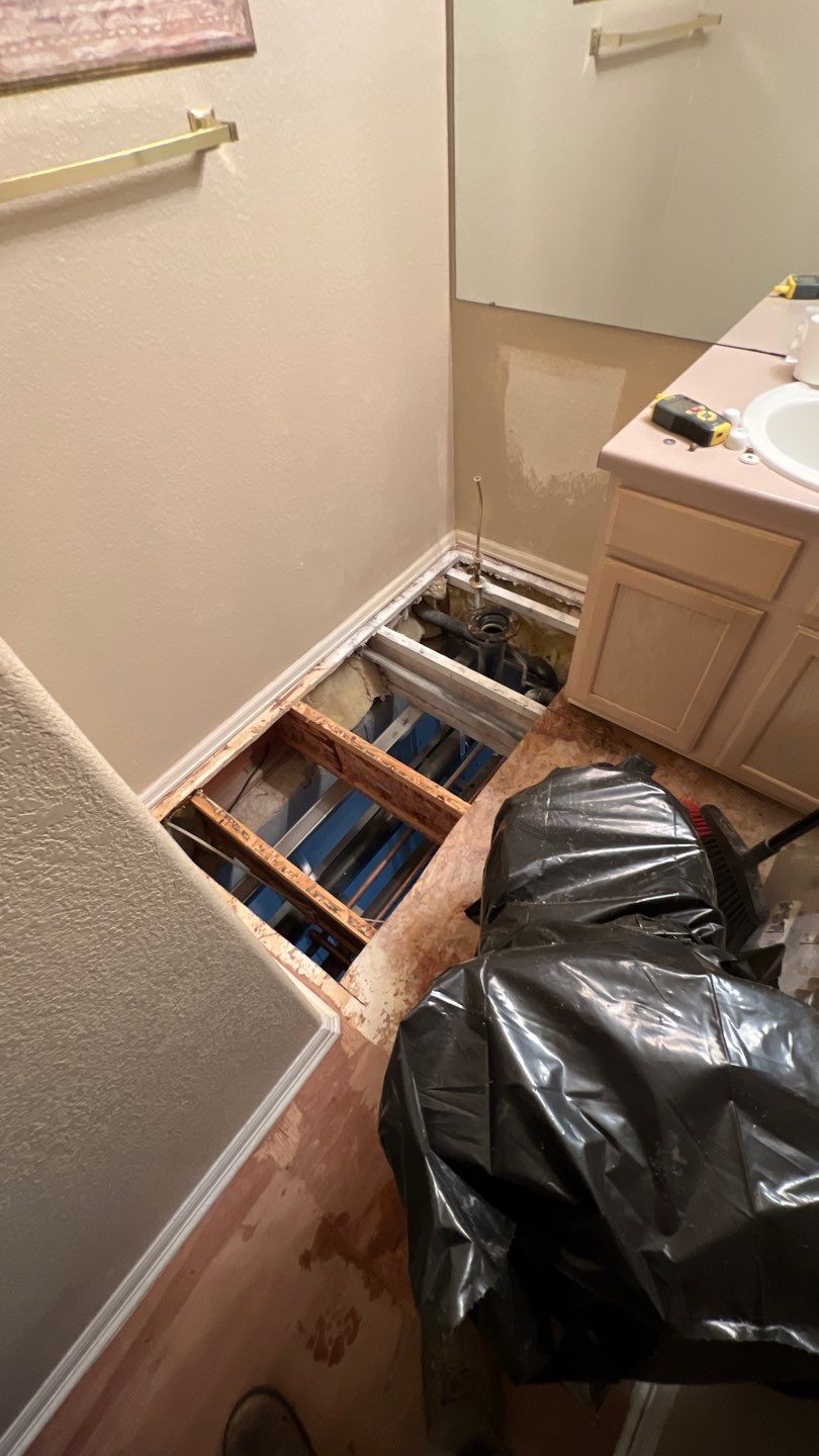 Mold Remediation by Accountable Home Services