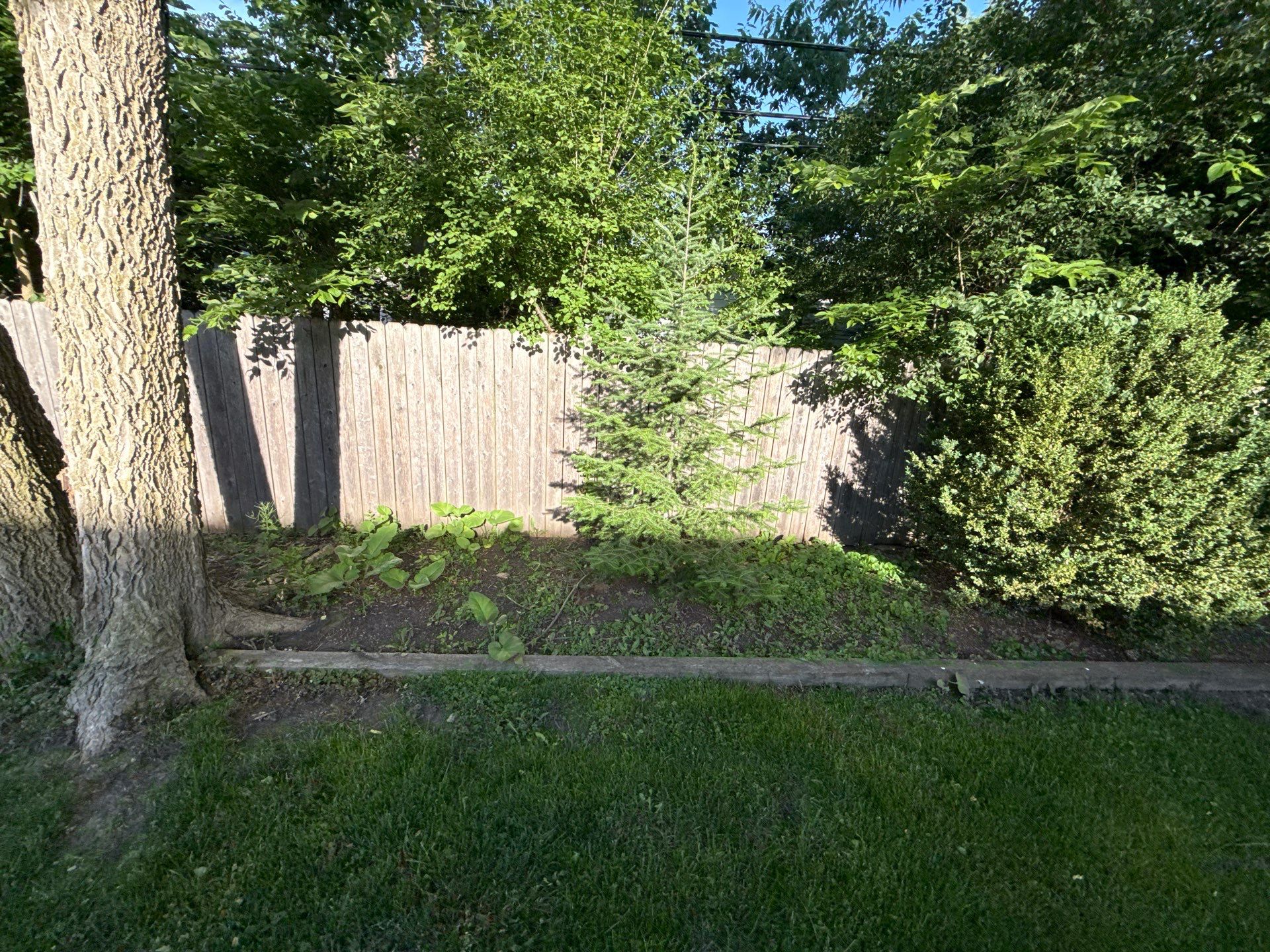 Bryan, F. - Arlington Heights, IL  by A&N 