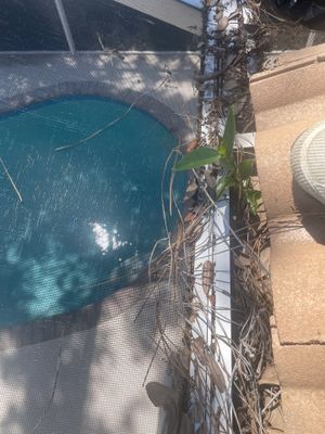 Clean and Seal Super Gutters in Sarasota FL