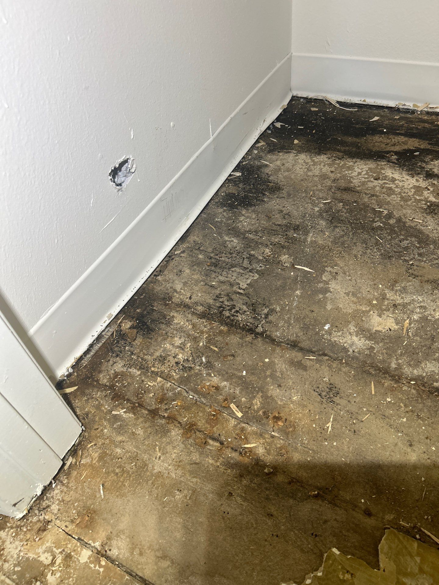 Project in Thornton by Accountable Home Services