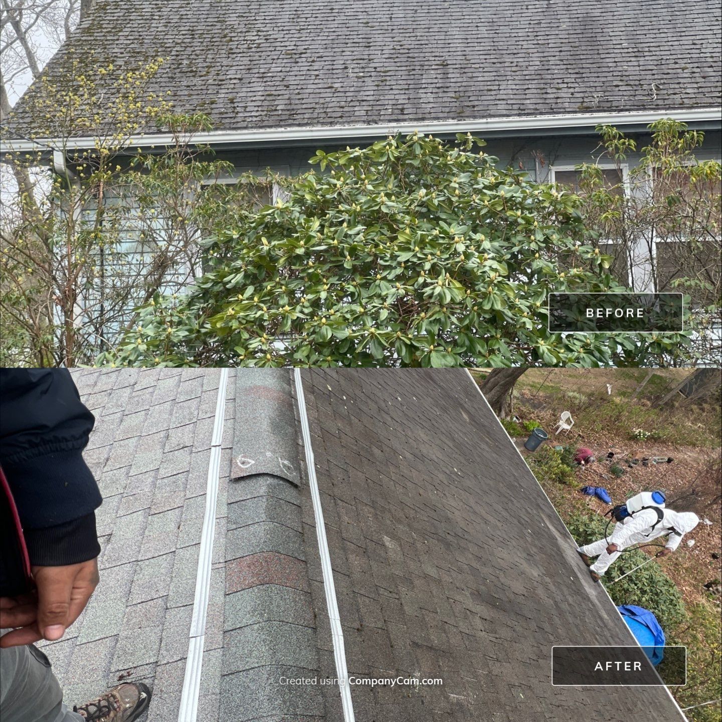 Tacurion Restoration LLC featured photo.
