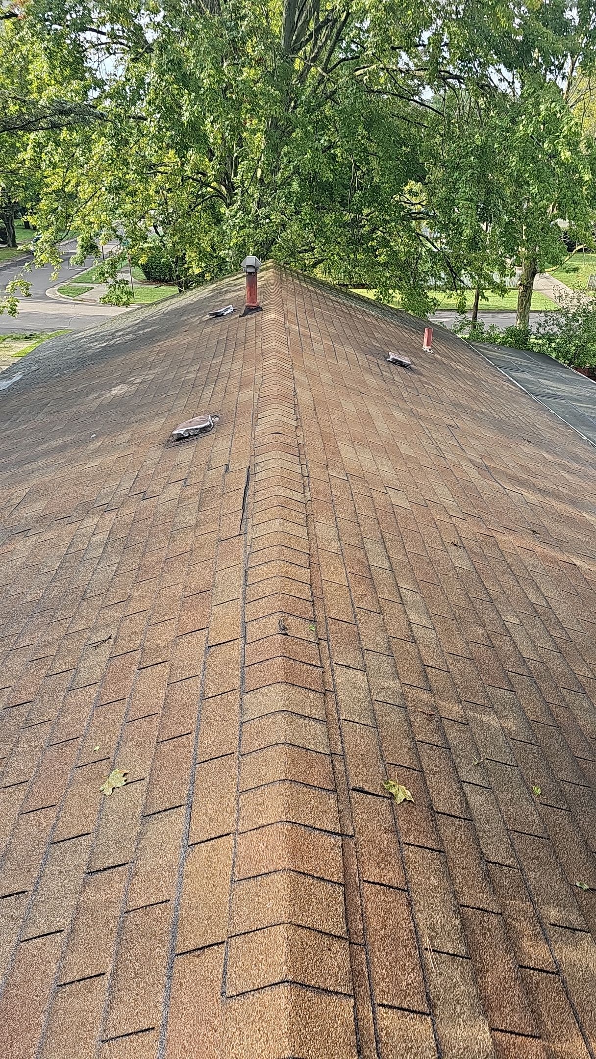 Atlas Pinnacle, Color, Copper Canyon, Drip Edge, Color, Royal Brown by Eagle Eye Roofing