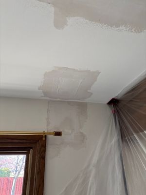 Ceiling Drywall Repair