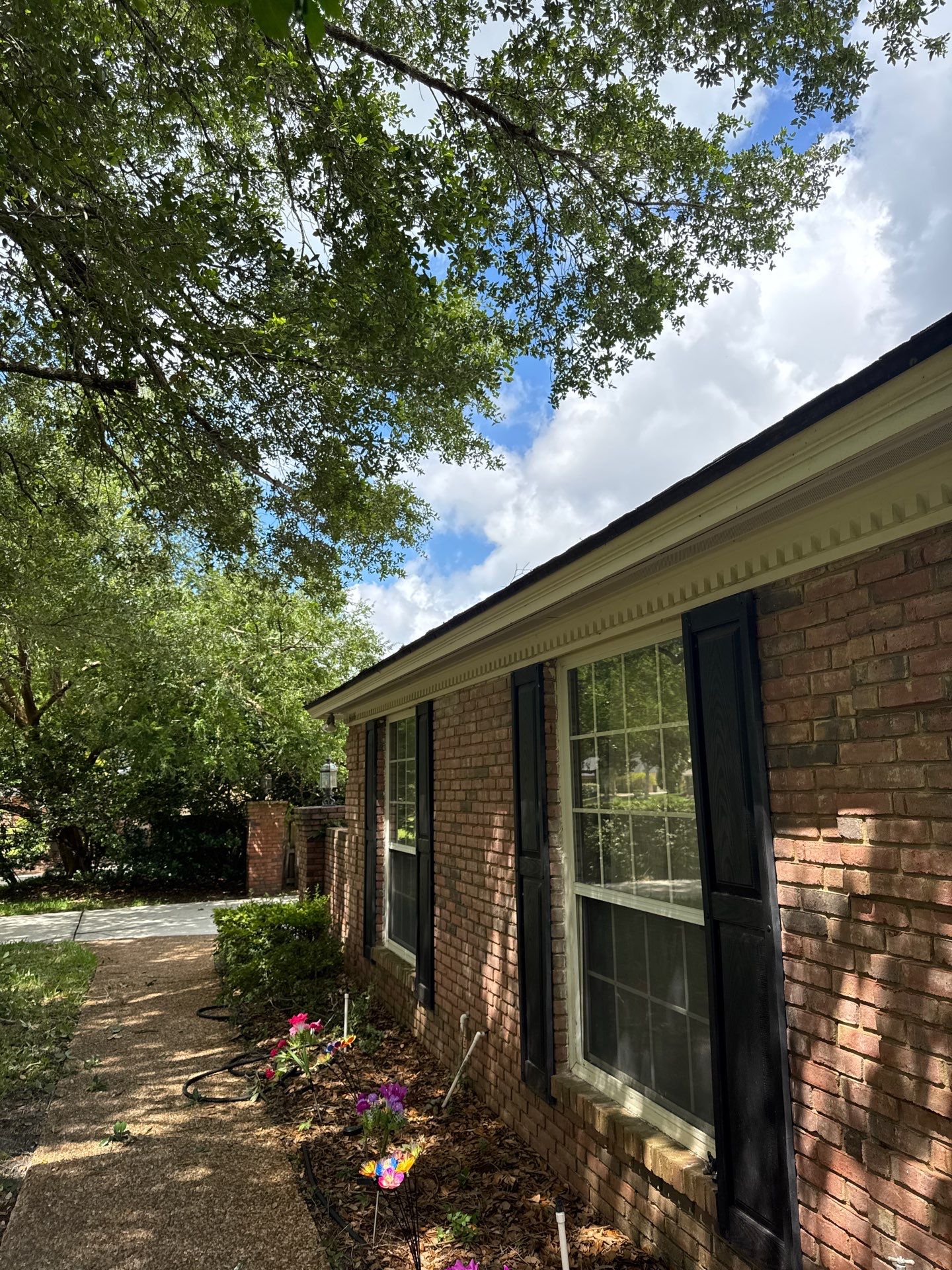Deerwood Resident | Tree Trimming by ProGreen Services