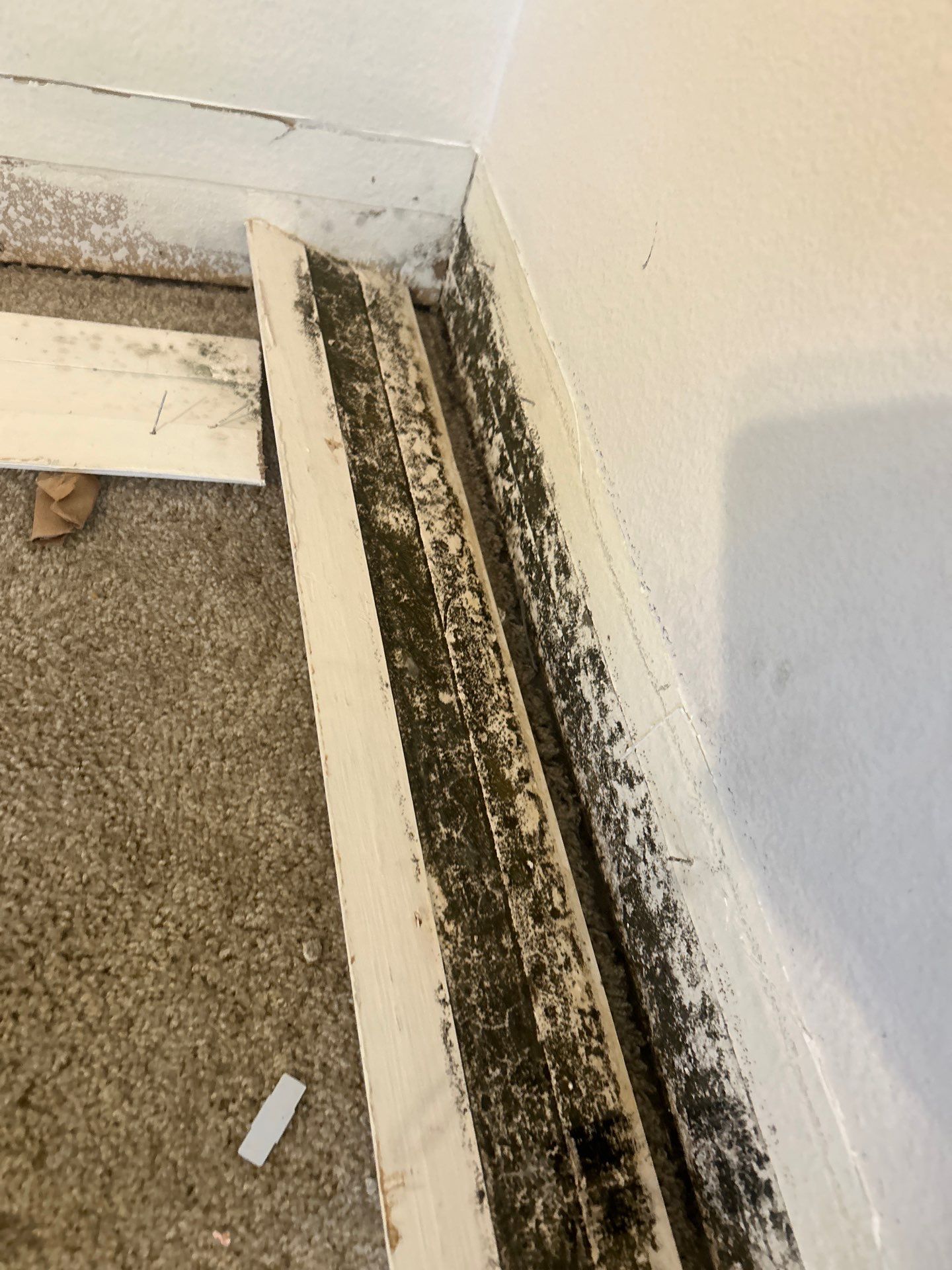 Commercial Storm Damage Repair by Ampm Restoration Services