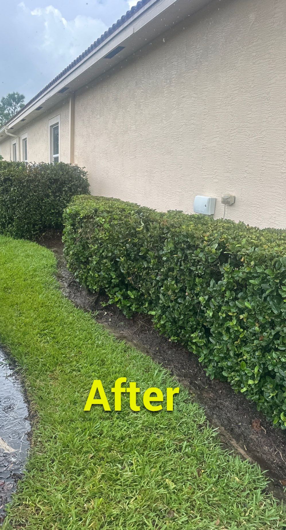 From Overgrown to Picture-Perfect - Stuart Refresh by Alpha Zeta Enterprises Inc