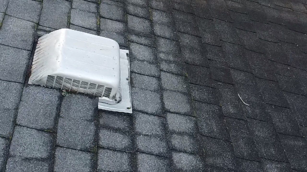 Soffit- End Squirrel entry by Abra Kadabra Pest And Wildlife 