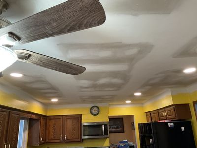 Ceiling Repair