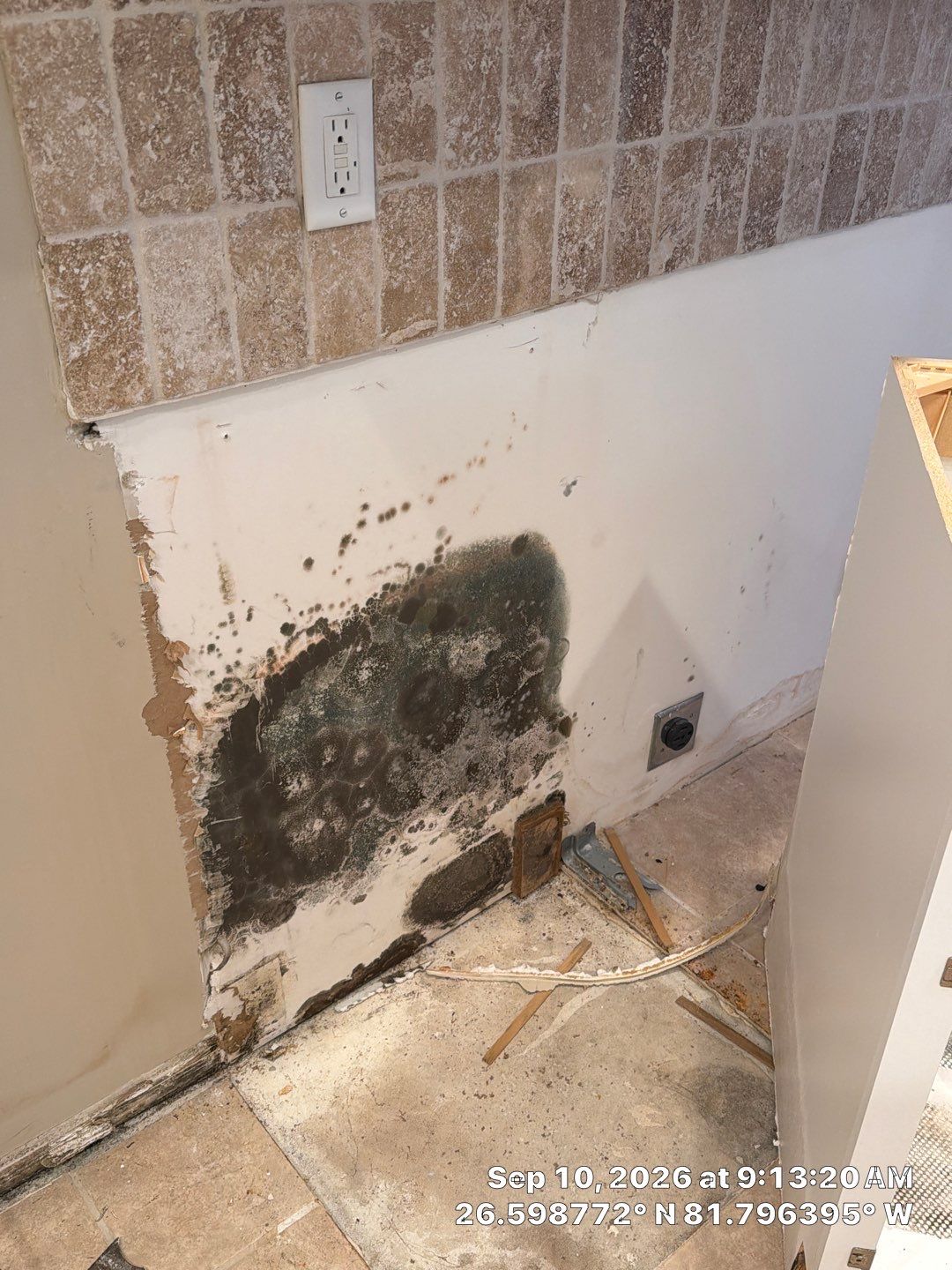 Fort Myers Water Damage Restoration and Professional Mold Remediation by Microscope