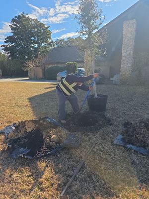 Deerwood Resident | Tree Install