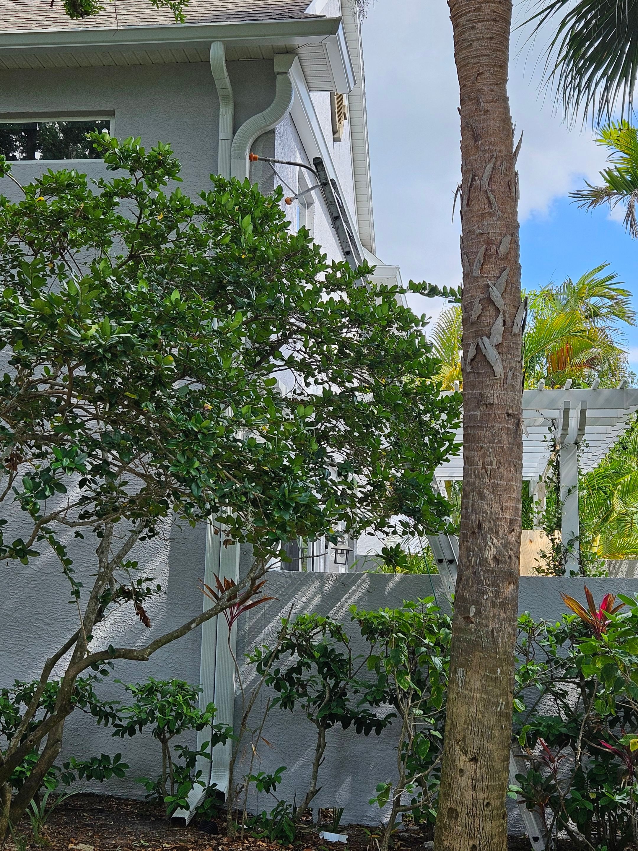 Gutter Cleaning Service in Fort Myers FL by Gutter Professors