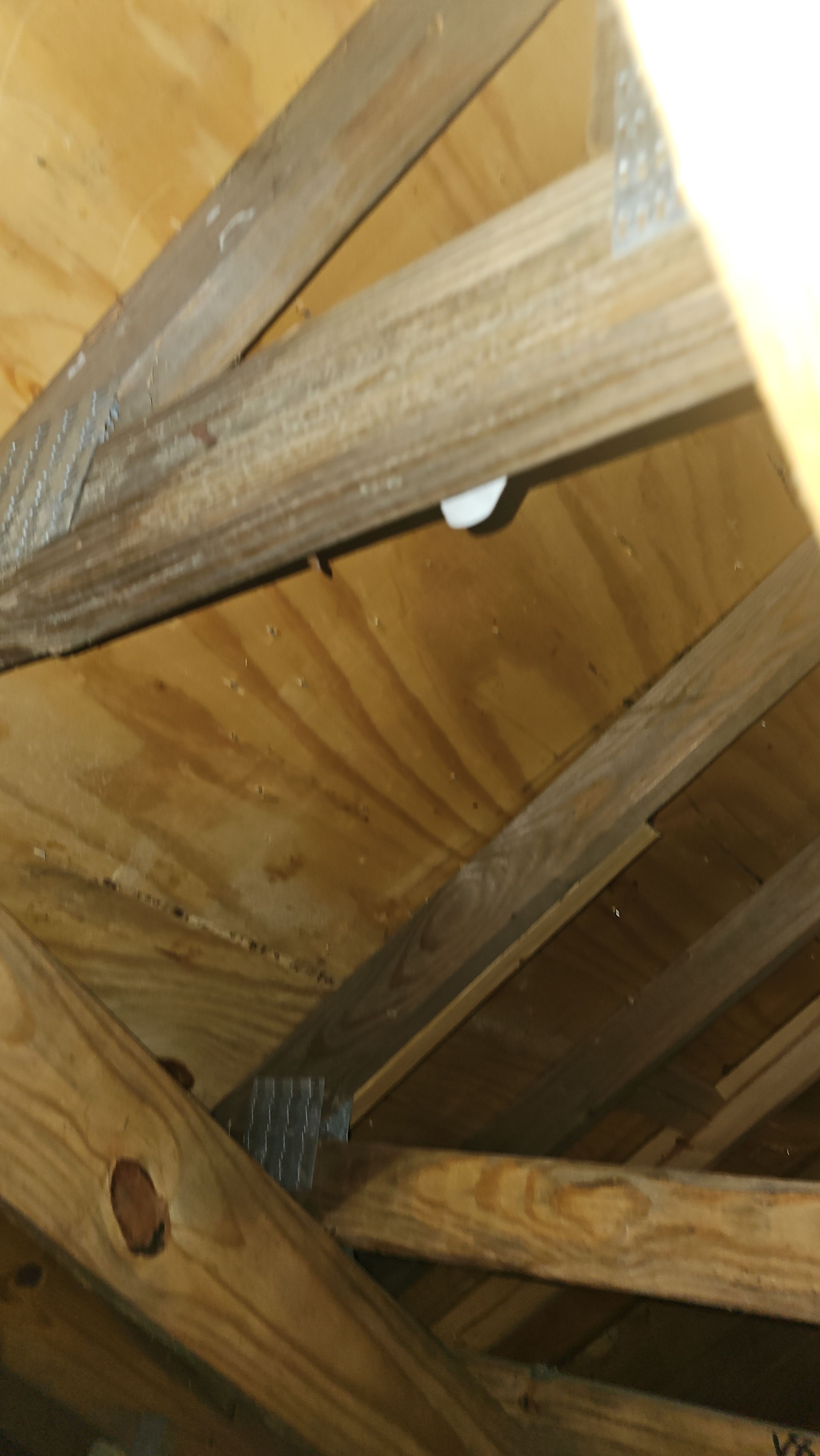 Above & Beyond Property Restoration featured photo.