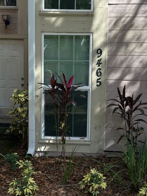 Hurricane Damage Claim in Tampa