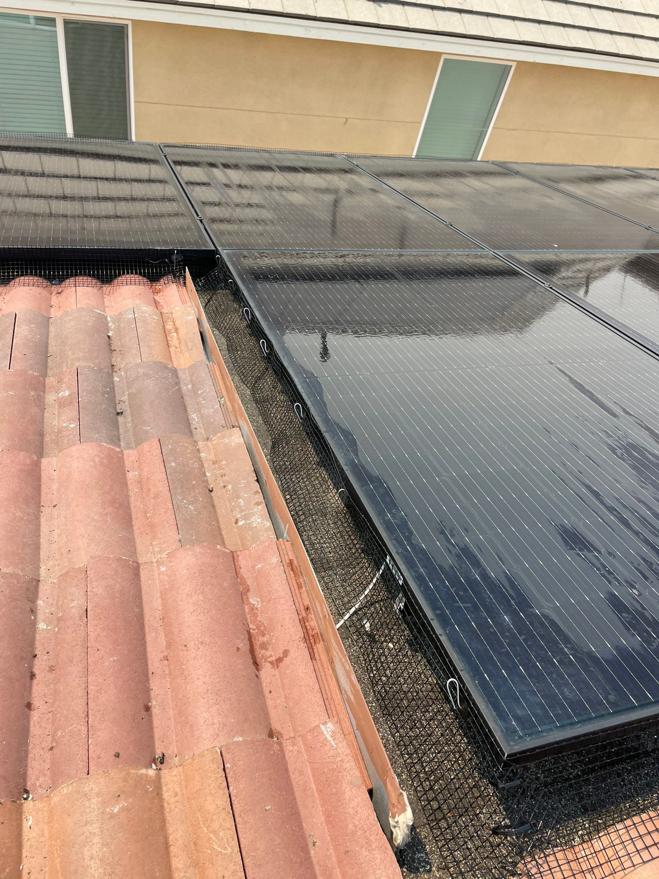 Solar Panel Bird Proofing in Ontario Ca by Palm Coast Solar Cleaning