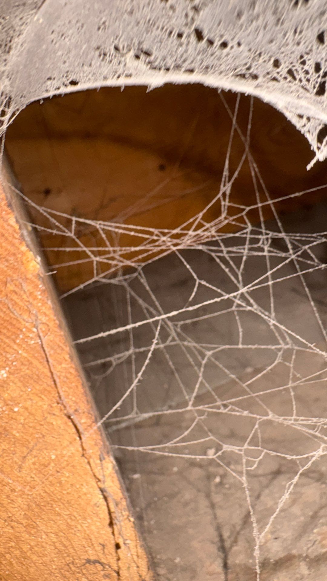 Comprehensive HVAC Air Duct System Cleaning in Beaver Falls by Superior Air Duct Cleaning
