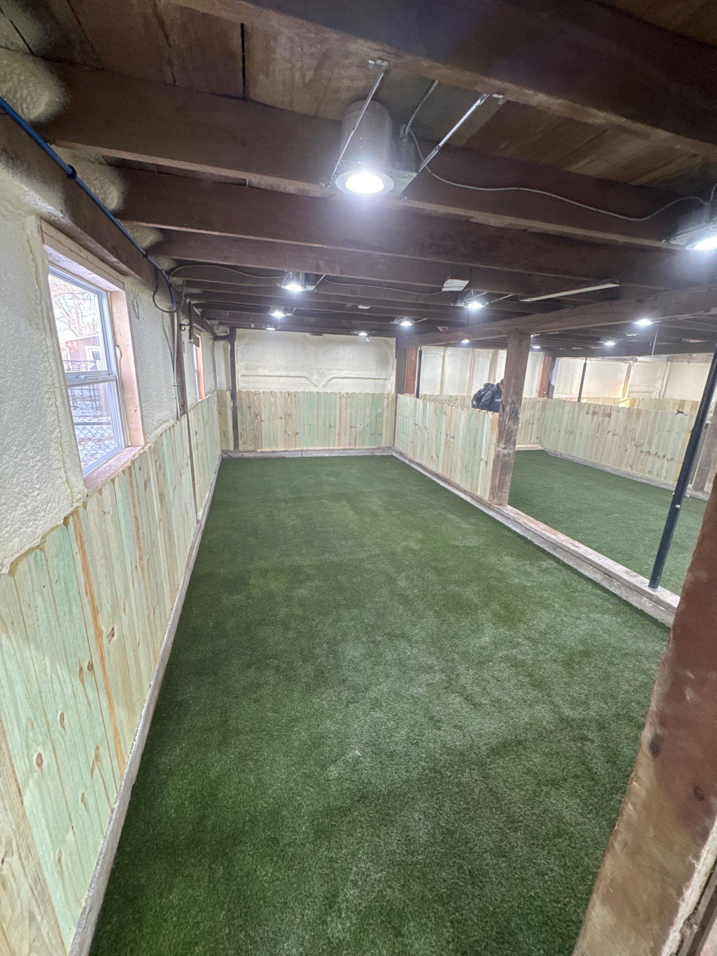 K9Grass in Pittsboro, IN by ForeverLawn NEIN/INDY