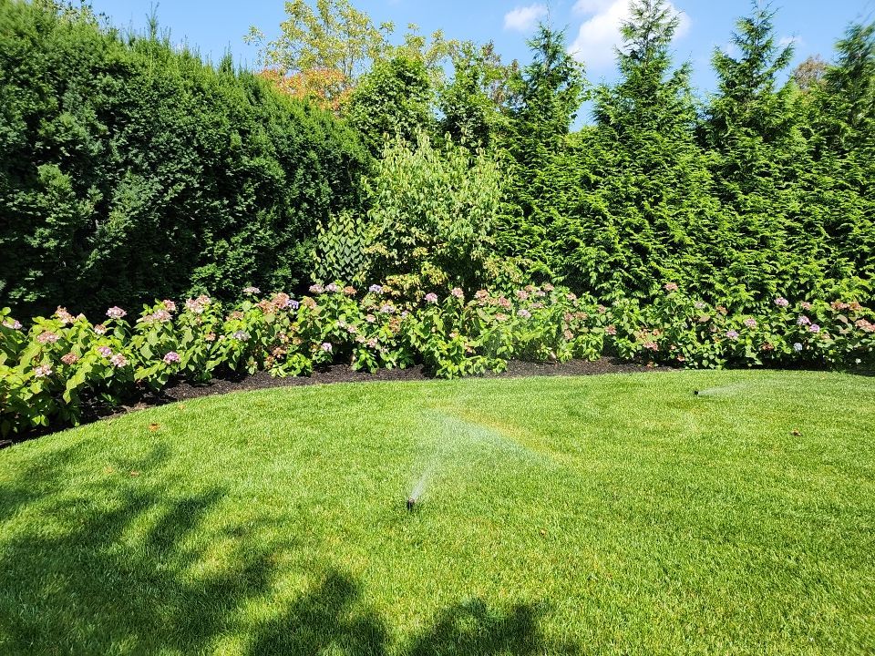 Landscape Design by elegant Lawns