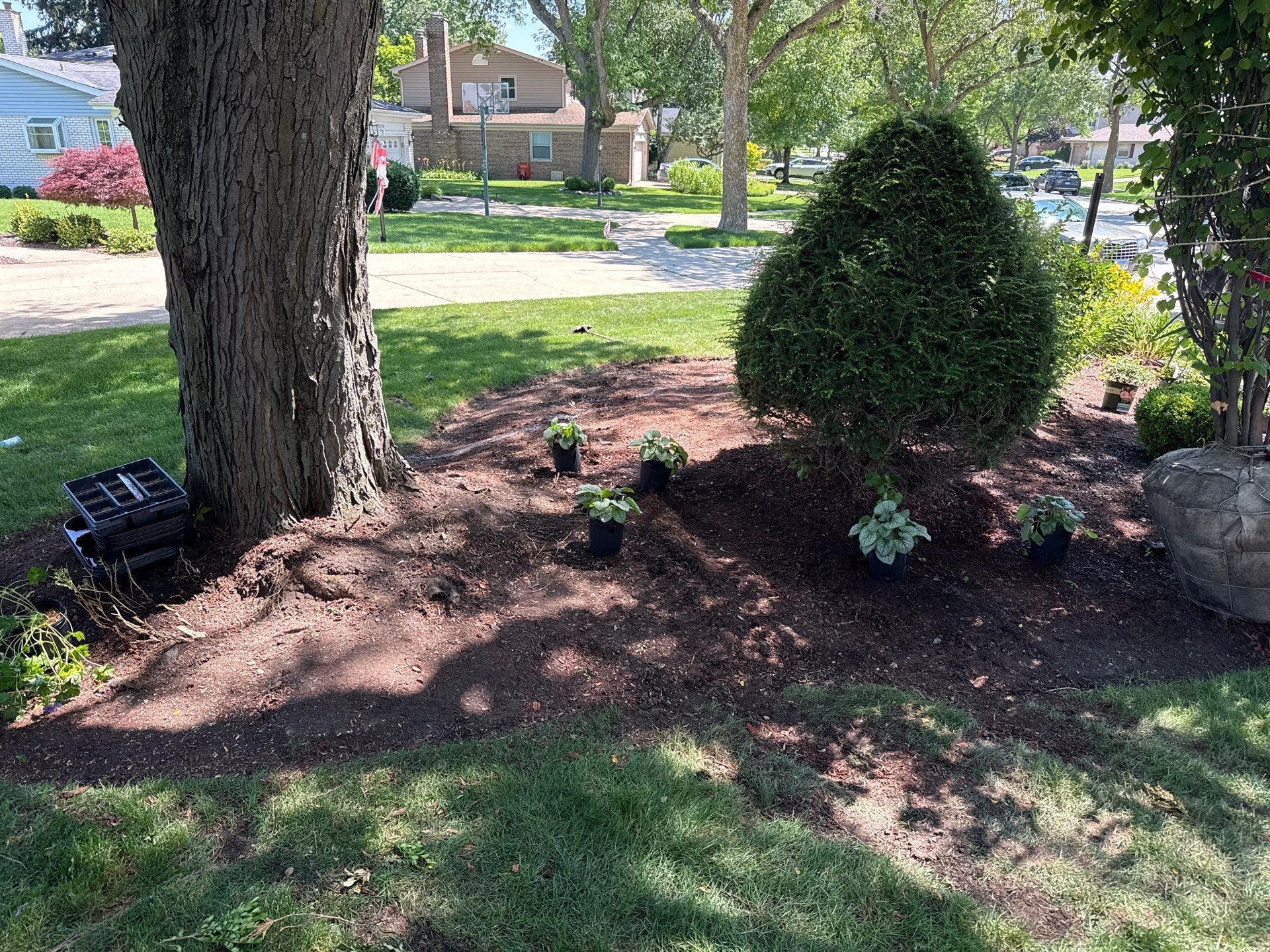 Mike & Diane L. - Arlington Heights, IL by A&N 