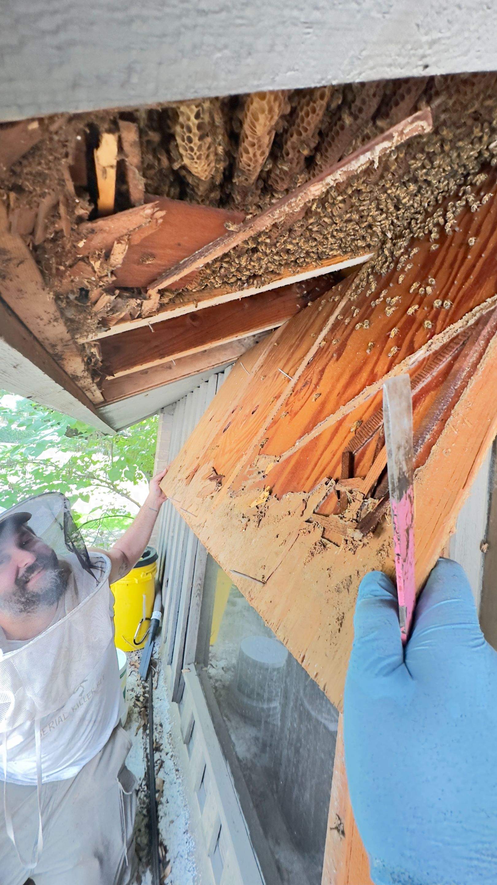 Old Faithful by Rockwall Honey Bee Company