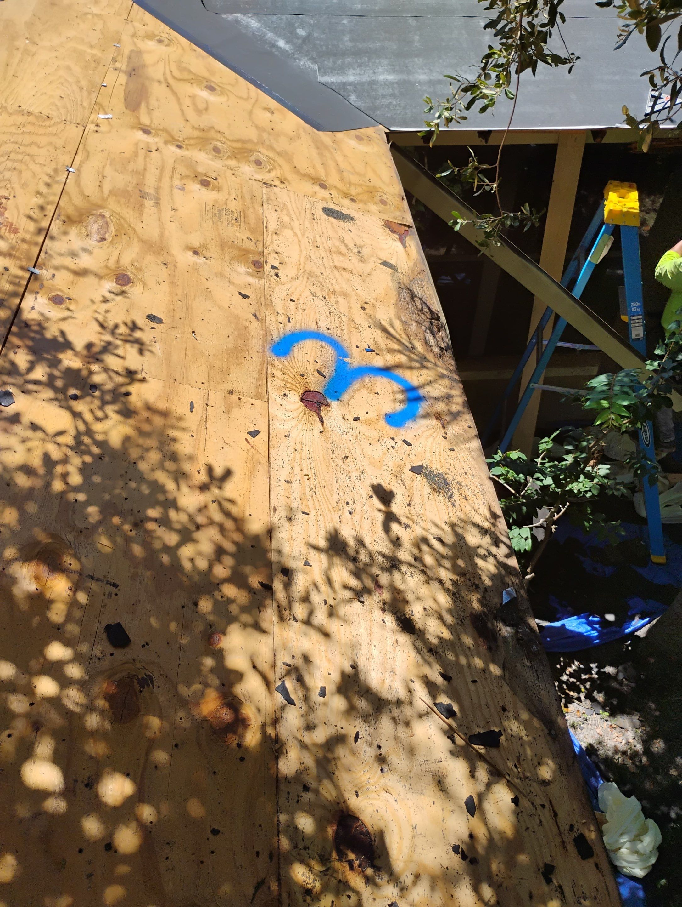 Project in St. Petersburg 33712 by Mitchell Roofing Company LLC