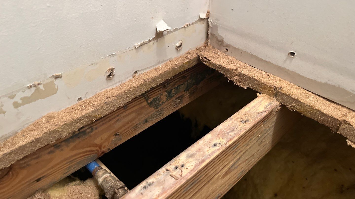 Water Mitigation, Mold Remediation and Repairs of Home in Memphis, IN by ANR Restoration